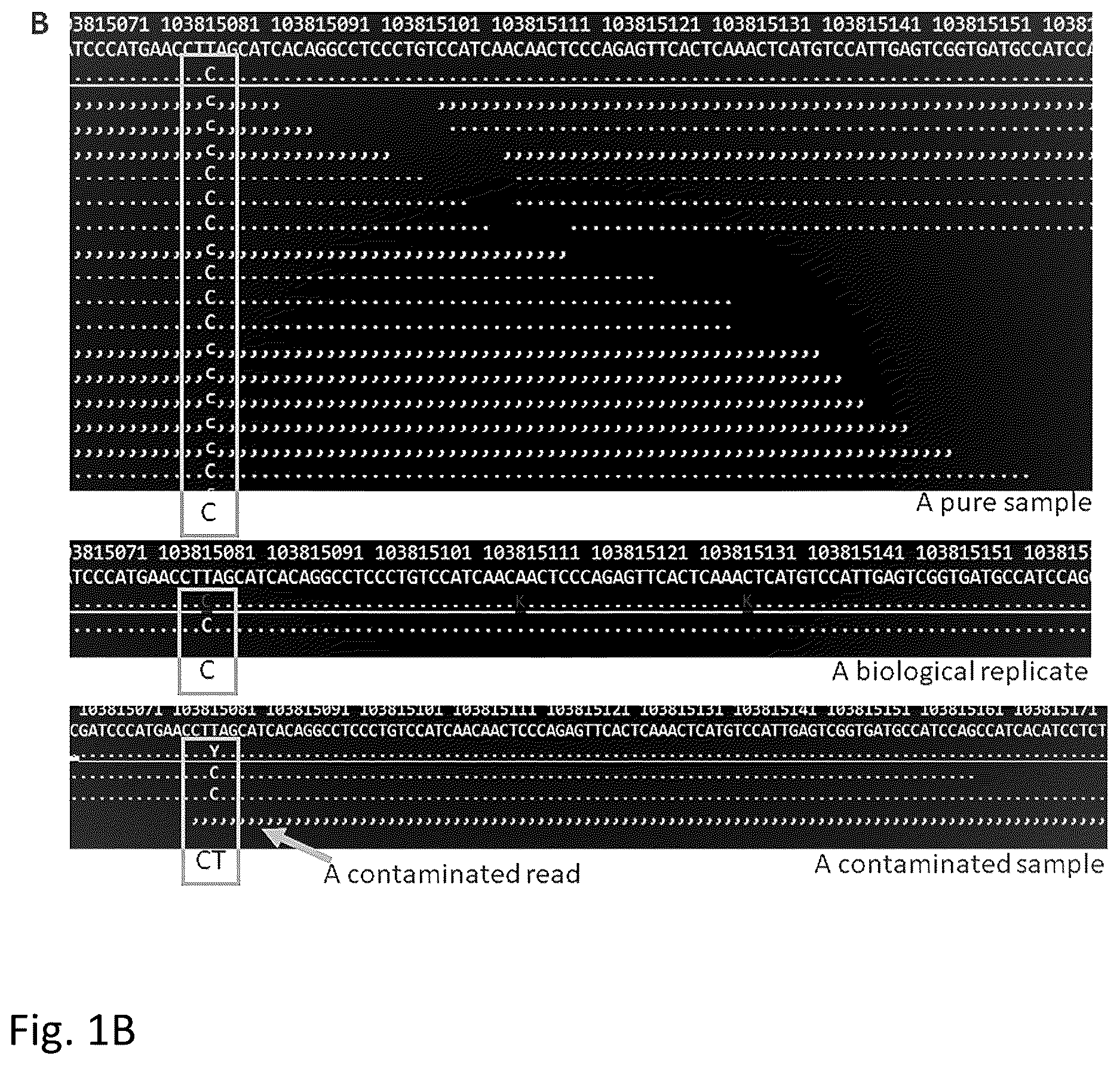 Patent US12612655 Figure 2 – Methods for screening biological samples for contamination
