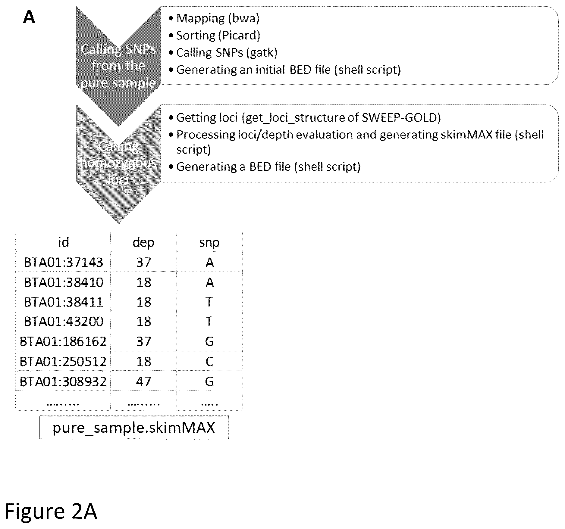 Patent US12612655 Figure 3 – Methods for screening biological samples for contamination