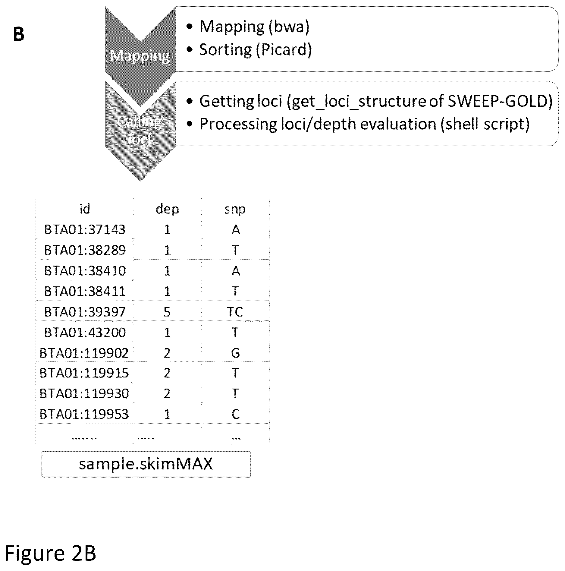 Patent US12612655 Figure 4 – Methods for screening biological samples for contamination