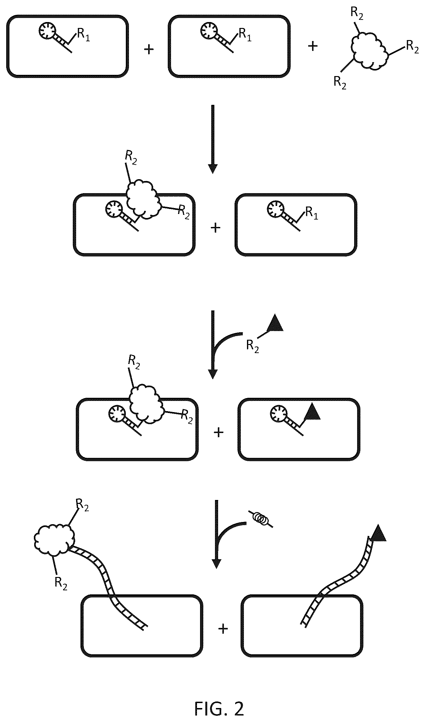 Patent US12612656 Figure 2 – Particle-based isolation of proteins and other analytes