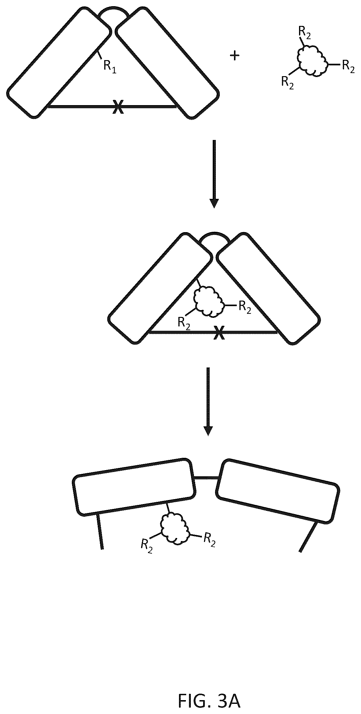 Patent US12612656 Figure 3 – Particle-based isolation of proteins and other analytes