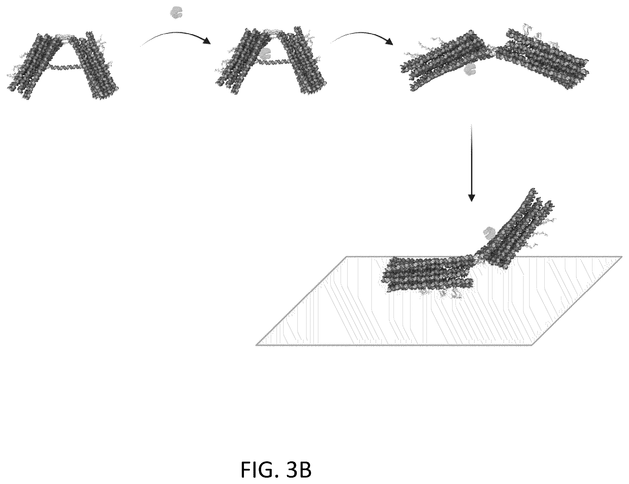 Patent US12612656 Figure 4 – Particle-based isolation of proteins and other analytes