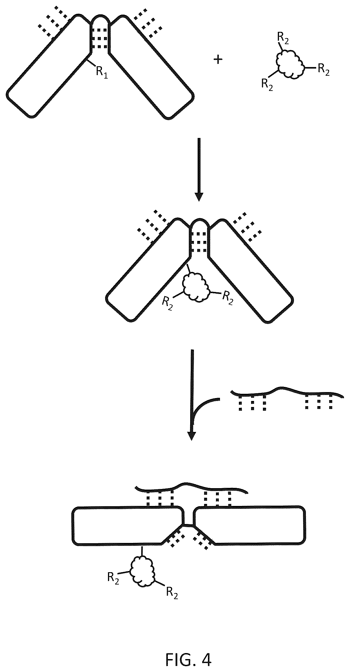 Patent US12612656 Figure 5 – Particle-based isolation of proteins and other analytes