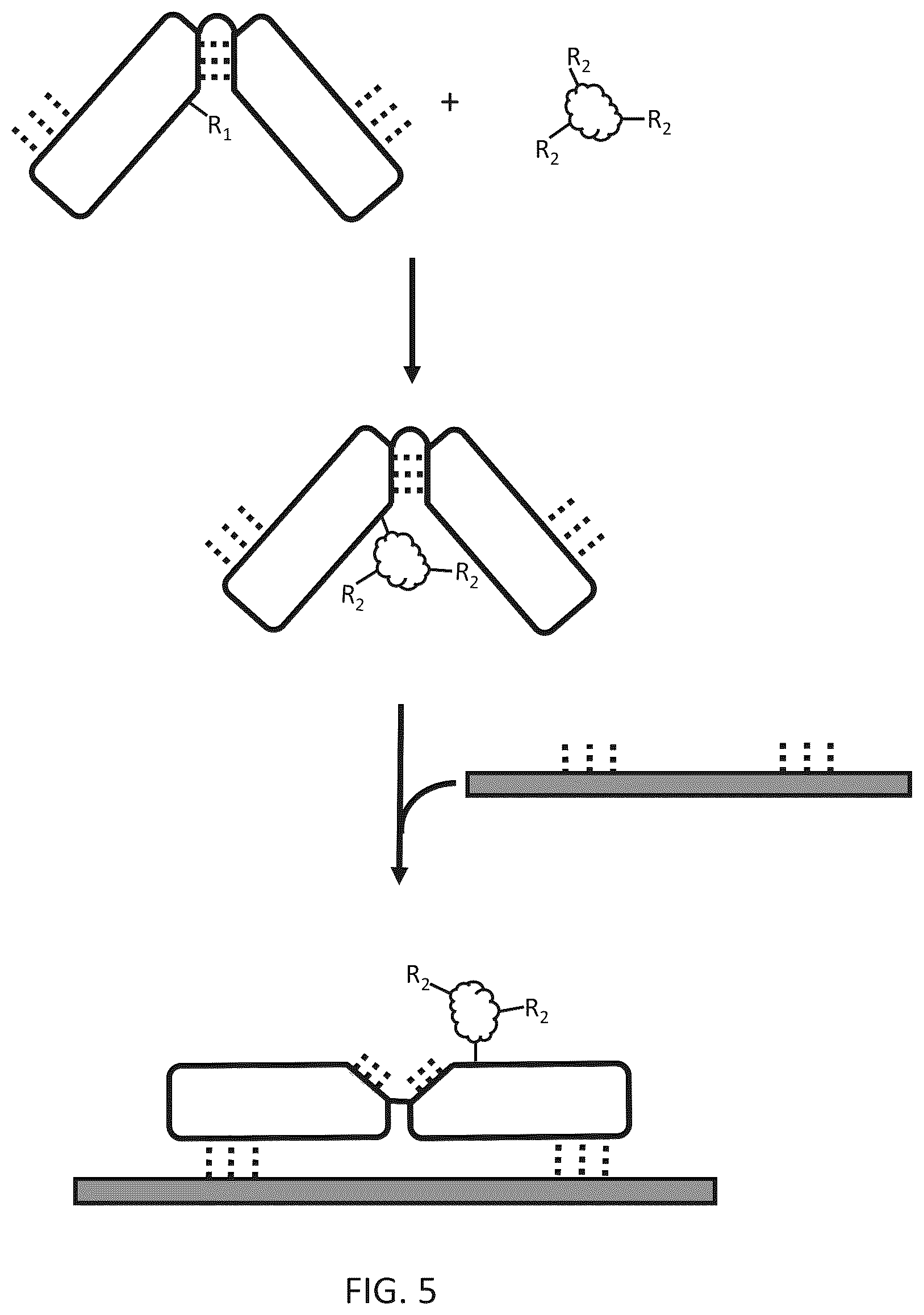 Patent US12612656 Figure 6 – Particle-based isolation of proteins and other analytes