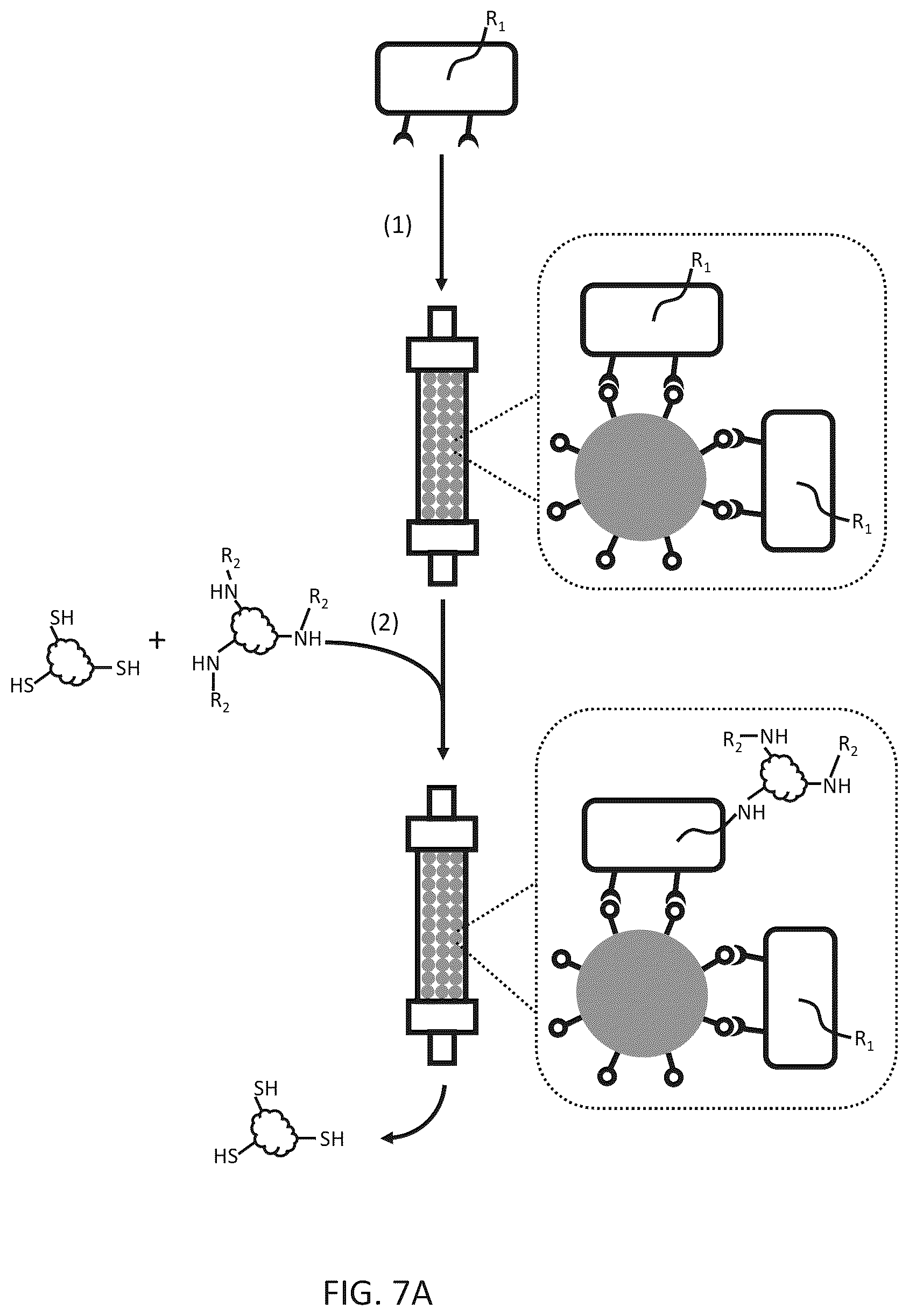 Patent US12612656 Figure 8 – Particle-based isolation of proteins and other analytes