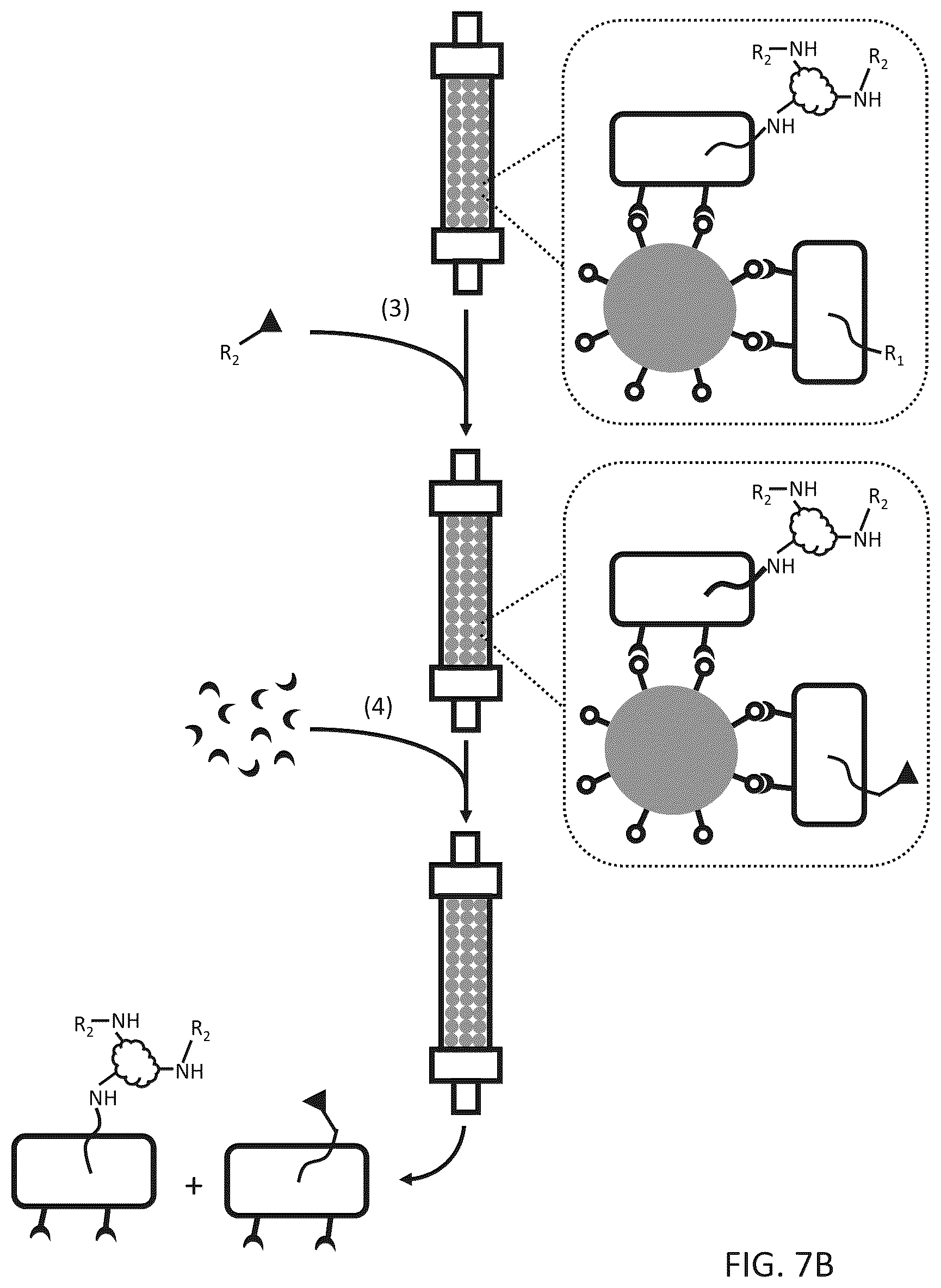 Patent US12612656 Figure 9 – Particle-based isolation of proteins and other analytes