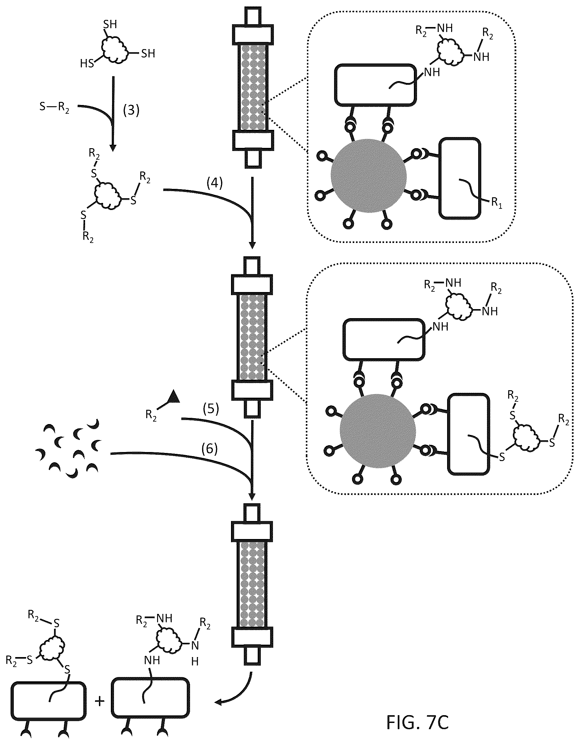 Patent US12612656 Figure 10 – Particle-based isolation of proteins and other analytes