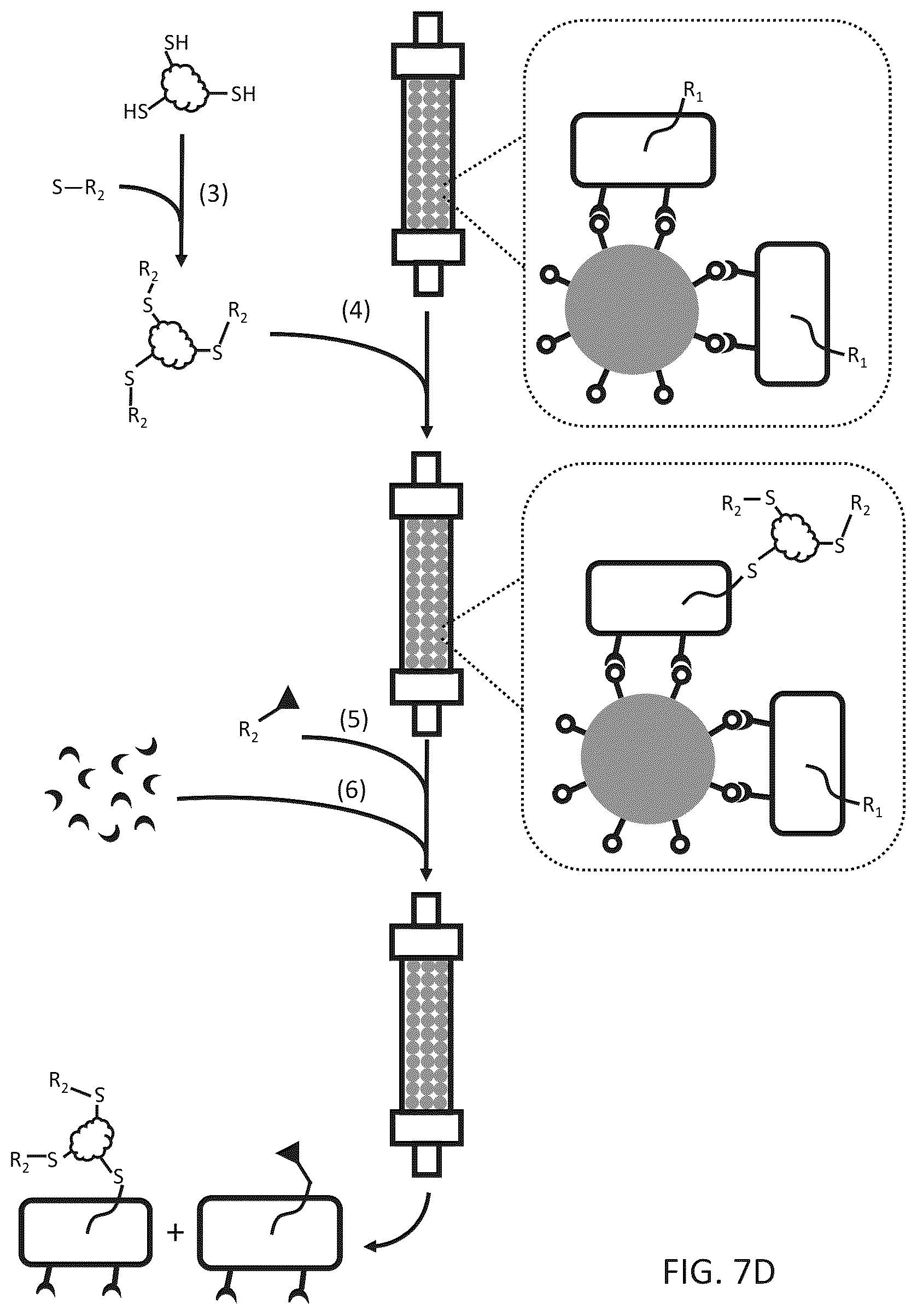 Patent US12612656 Figure 11 – Particle-based isolation of proteins and other analytes
