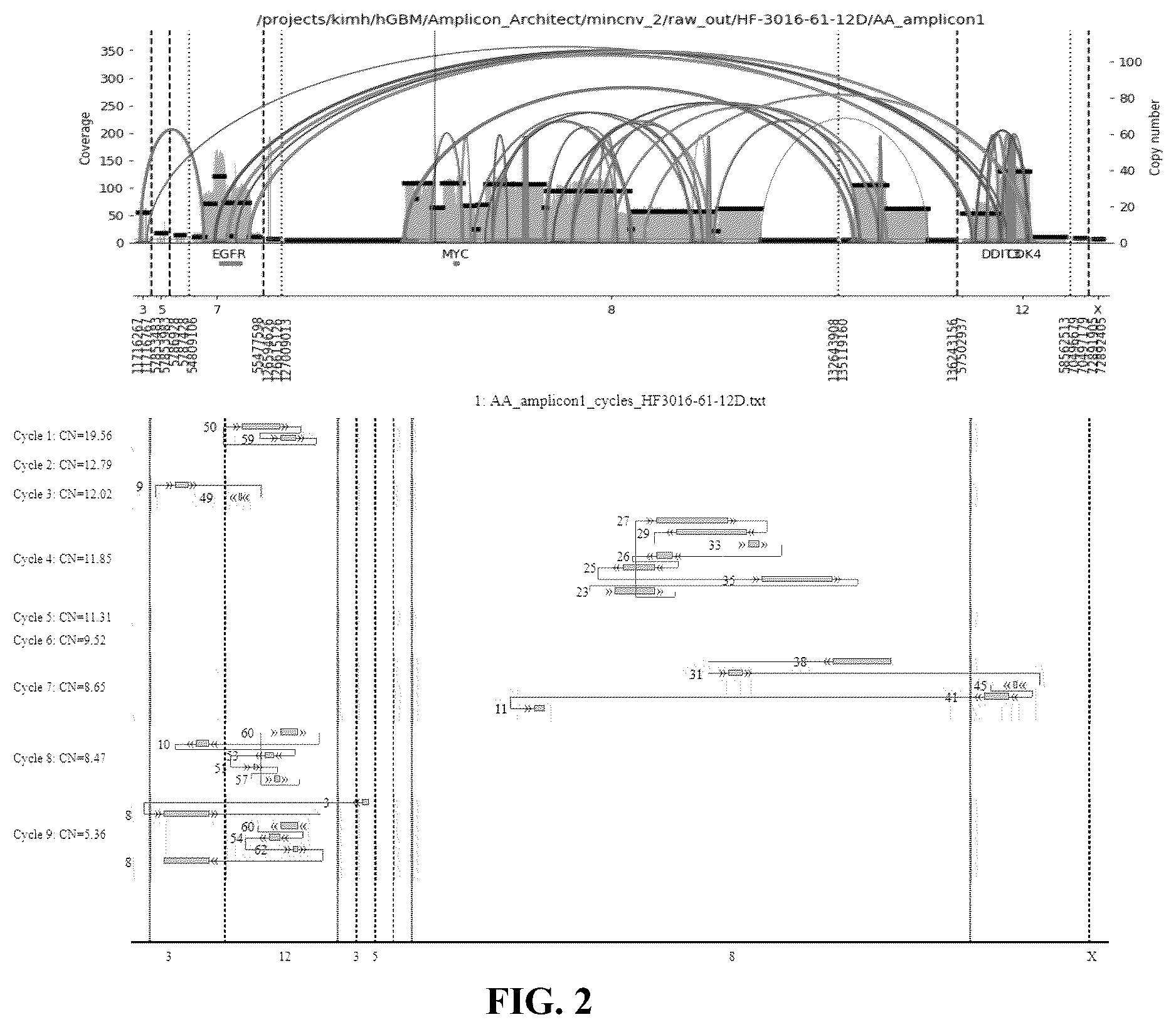 Patent US12612657 Figure 6 – Extrachromosomal DNA labeling