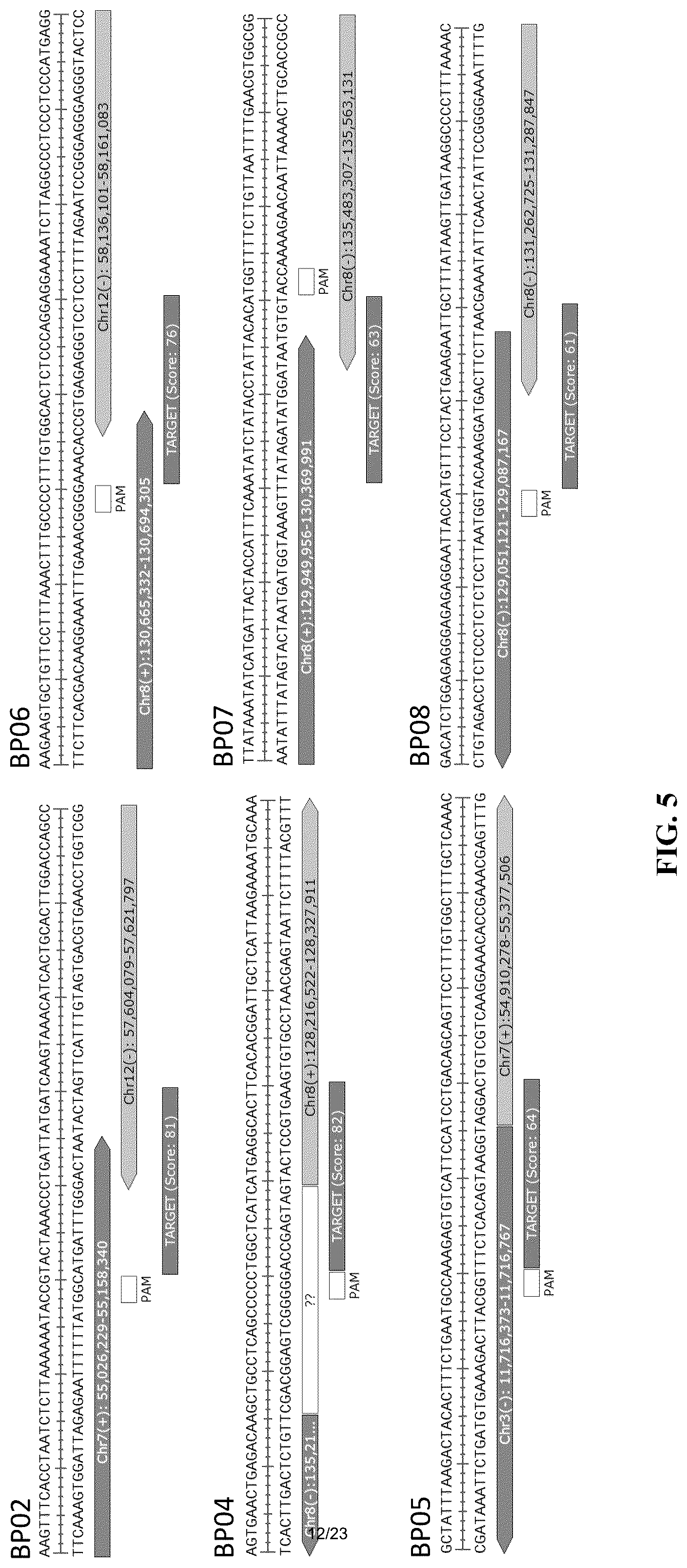 Patent US12612657 Figure 12 – Extrachromosomal DNA labeling