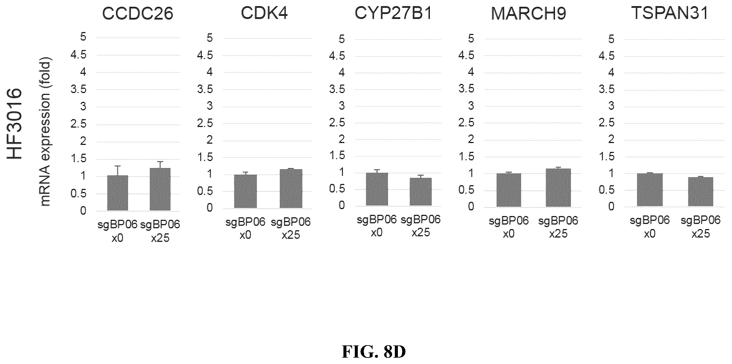 Patent US12612657 Figure 19 – Extrachromosomal DNA labeling