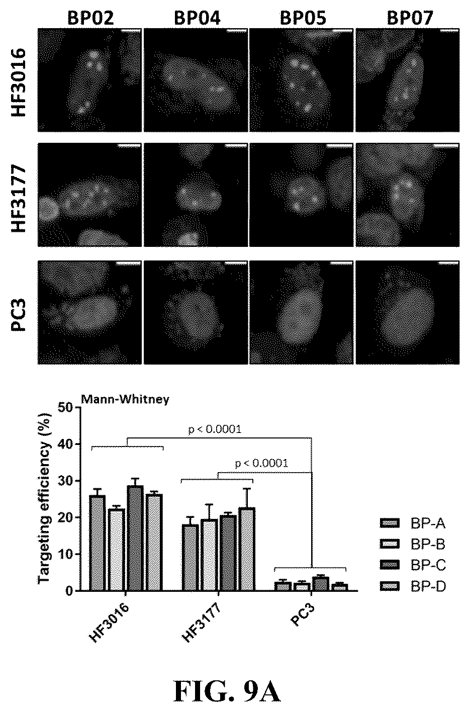 Patent US12612657 Figure 20 – Extrachromosomal DNA labeling