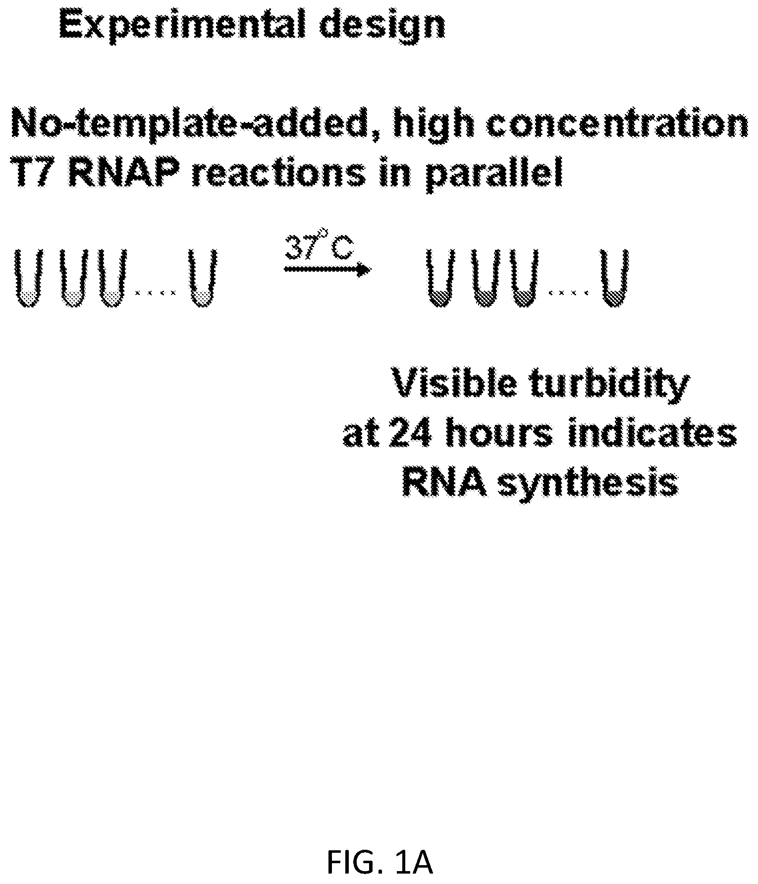 Patent US12612658 Figure 1 – RNA replication using transcription polymerases