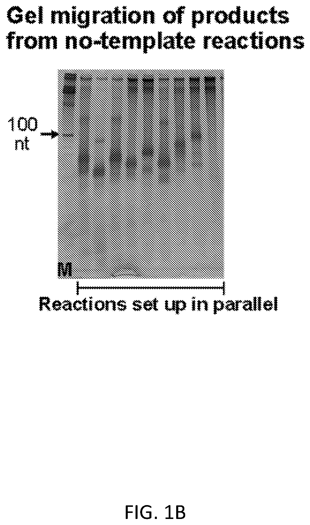Patent US12612658 Figure 2 – RNA replication using transcription polymerases
