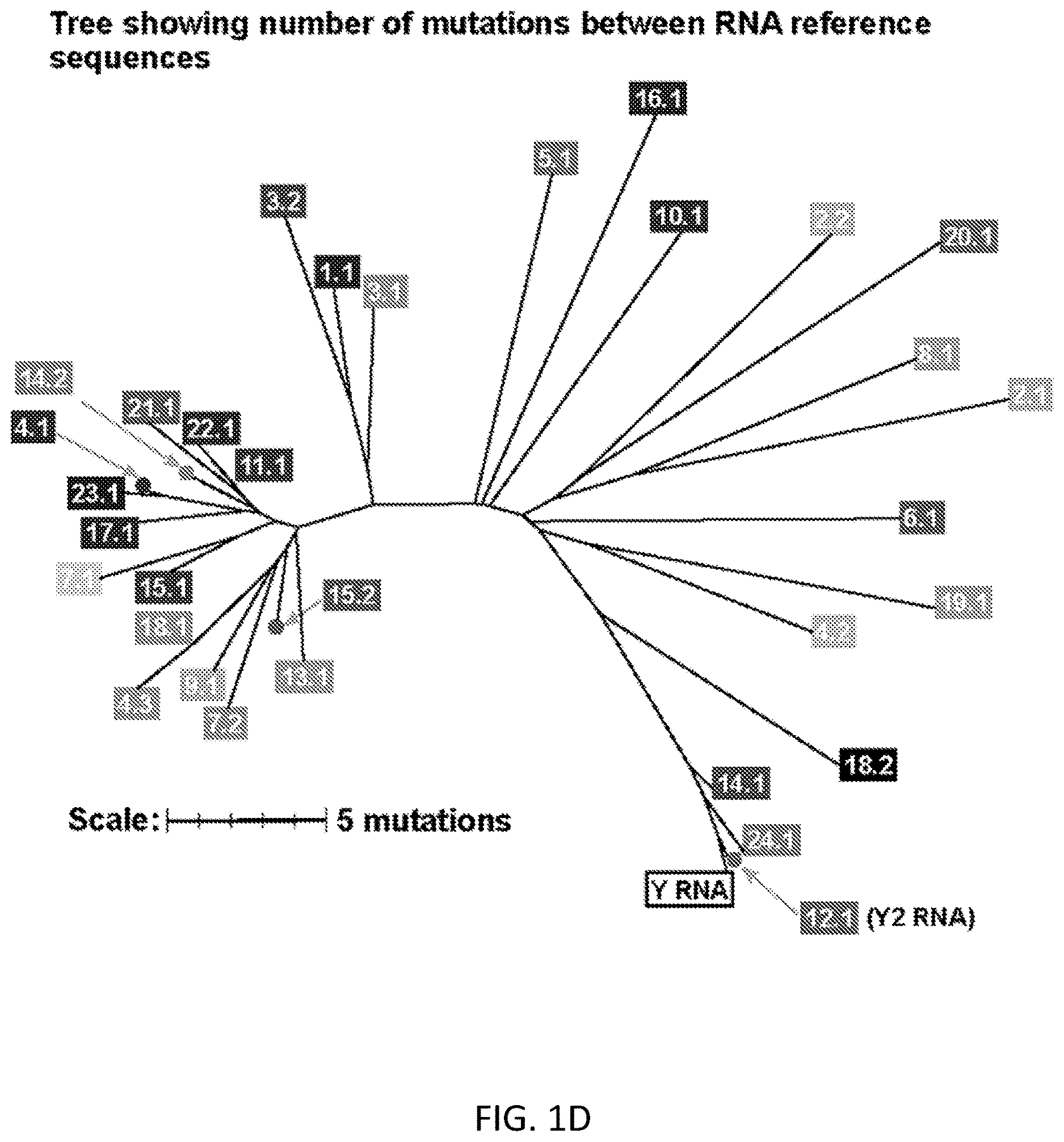Patent US12612658 Figure 4 – RNA replication using transcription polymerases
