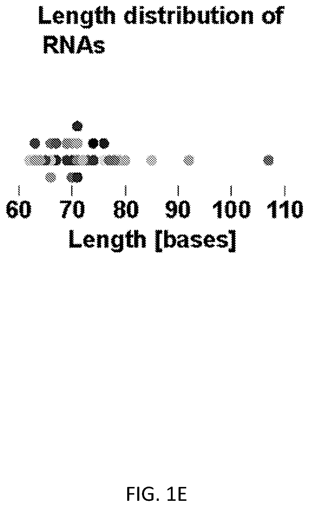 Patent US12612658 Figure 5 – RNA replication using transcription polymerases
