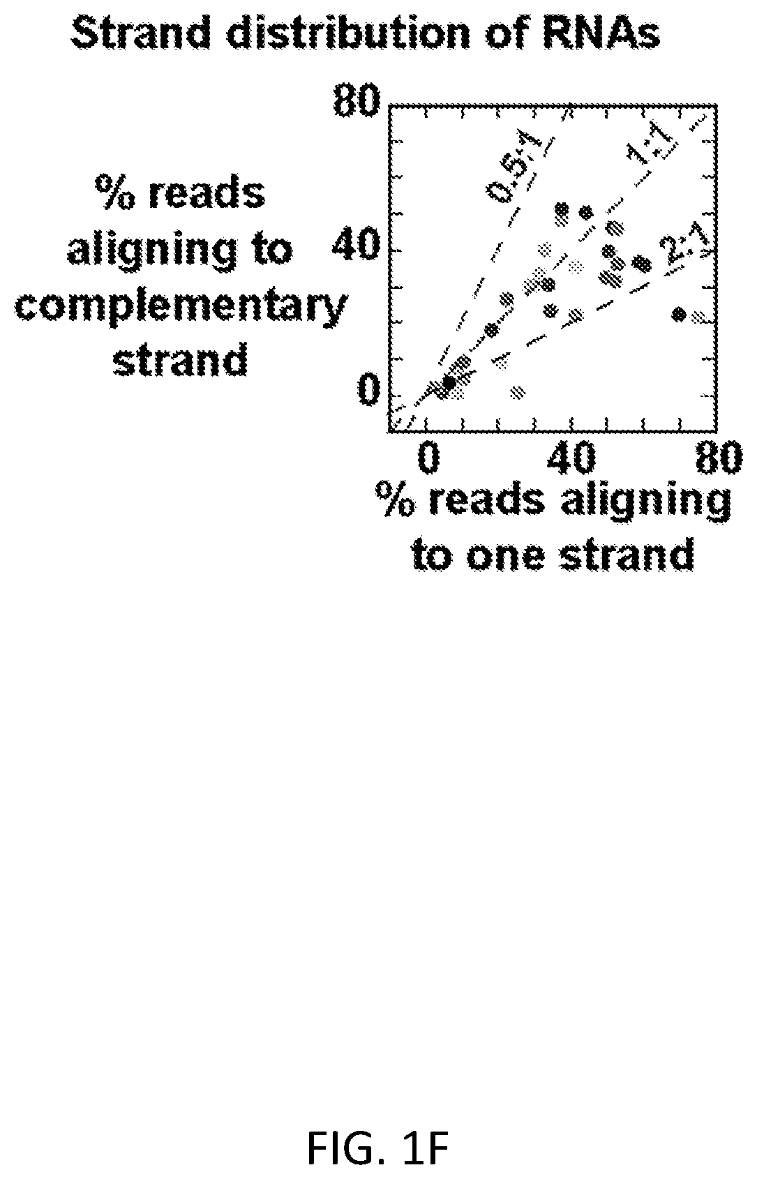 Patent US12612658 Figure 6 – RNA replication using transcription polymerases