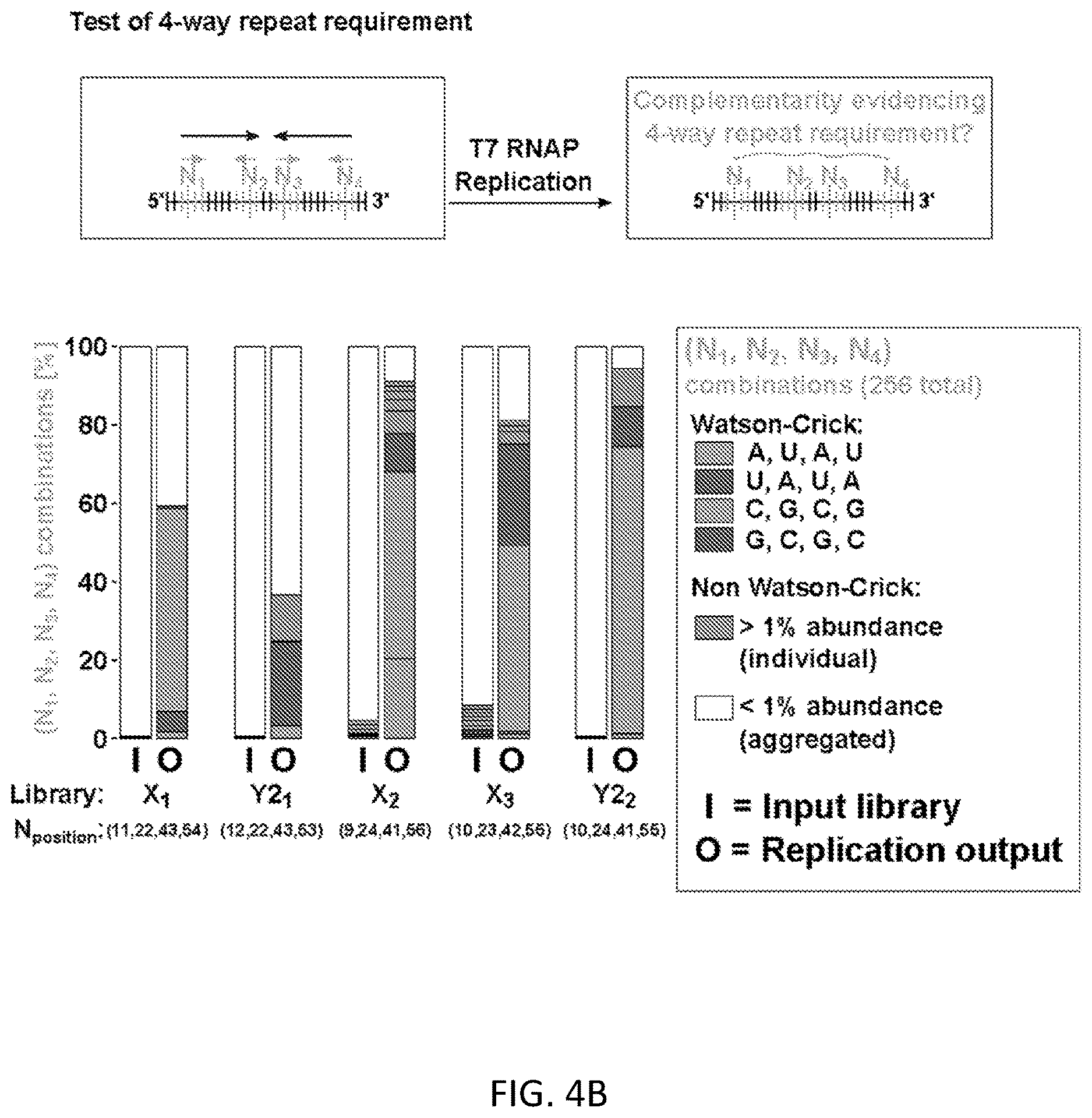 Patent US12612658 Figure 14 – RNA replication using transcription polymerases