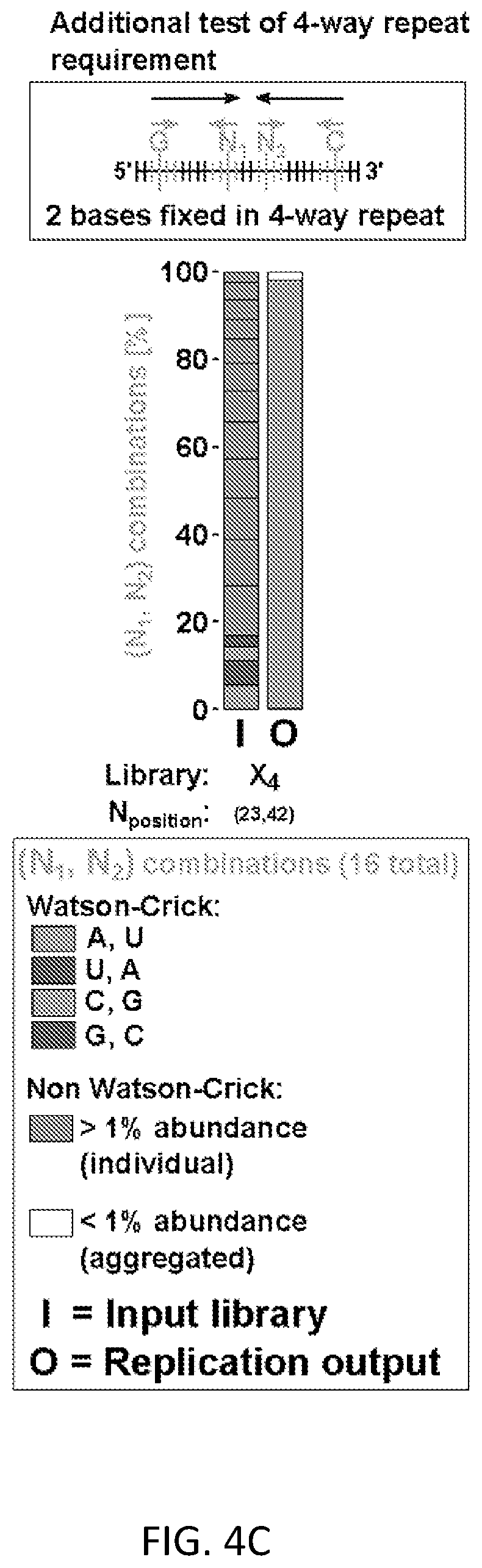 Patent US12612658 Figure 15 – RNA replication using transcription polymerases