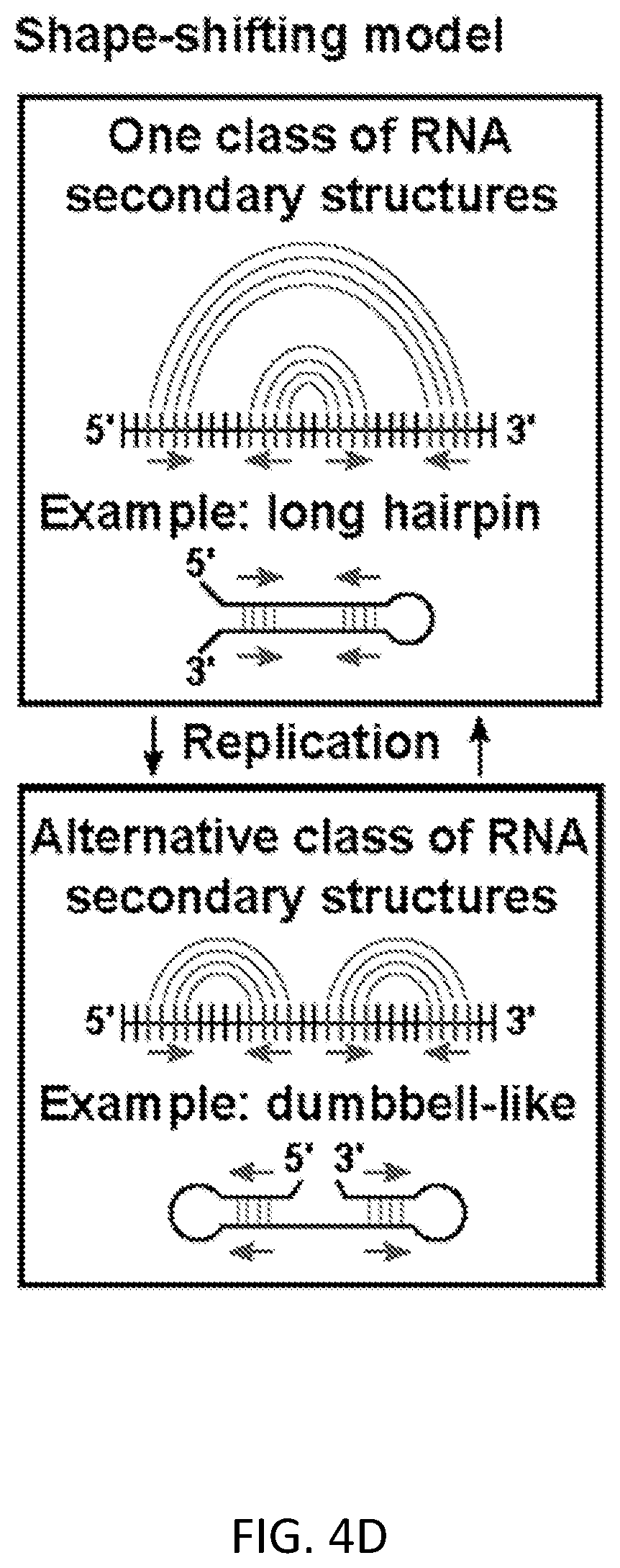 Patent US12612658 Figure 16 – RNA replication using transcription polymerases