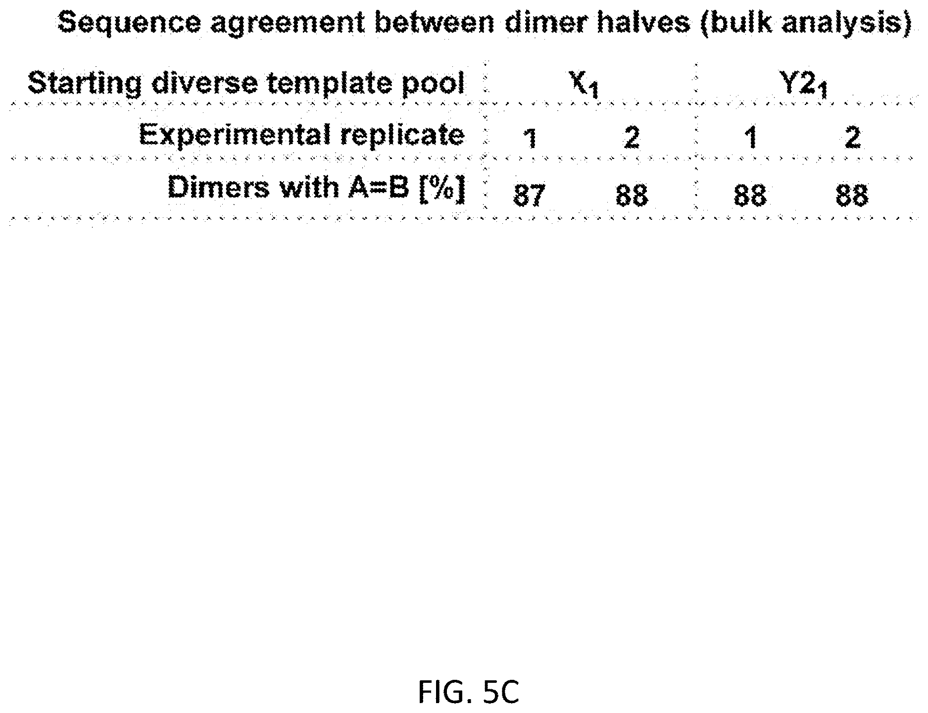 Patent US12612658 Figure 19 – RNA replication using transcription polymerases