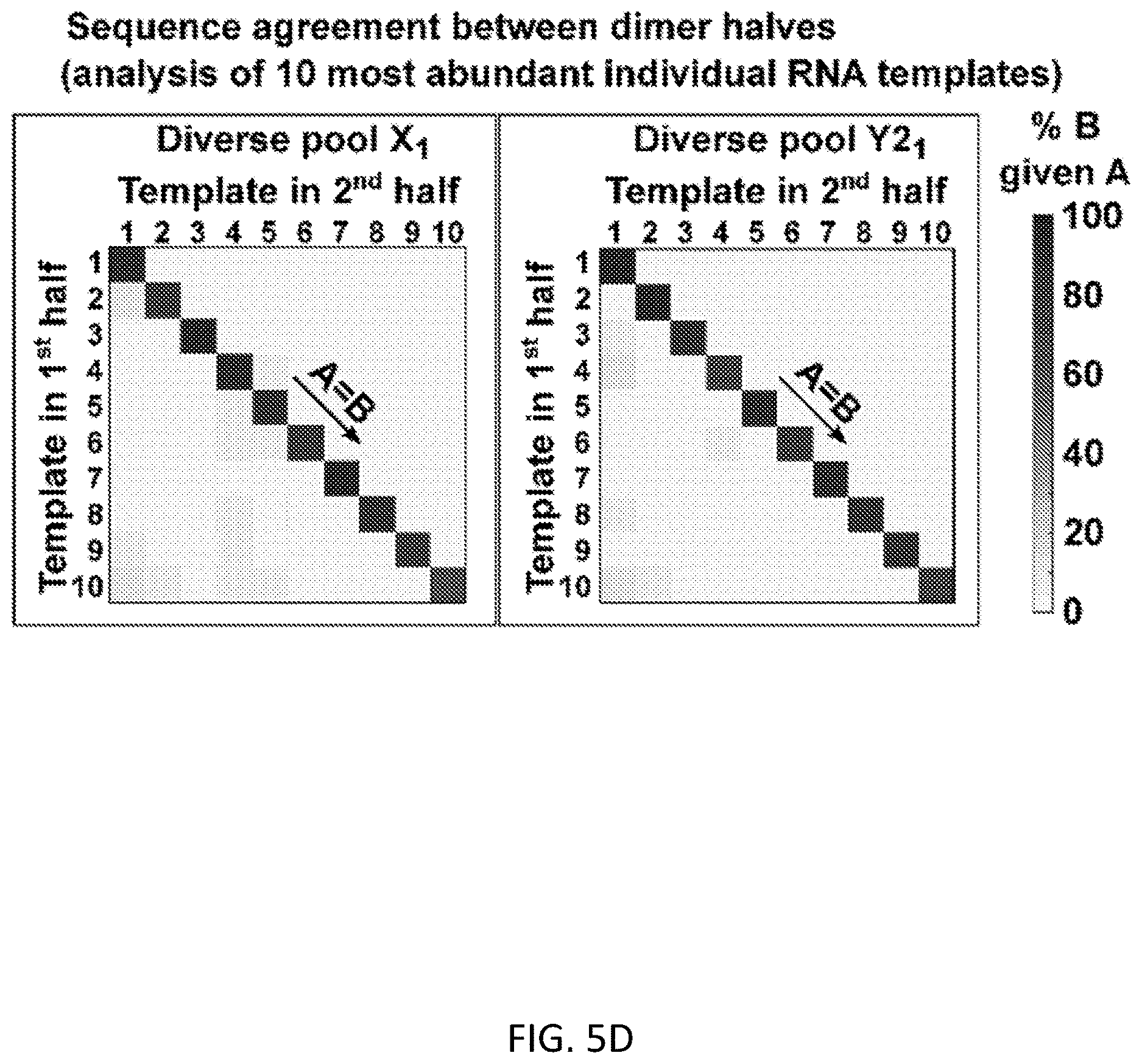 Patent US12612658 Figure 20 – RNA replication using transcription polymerases