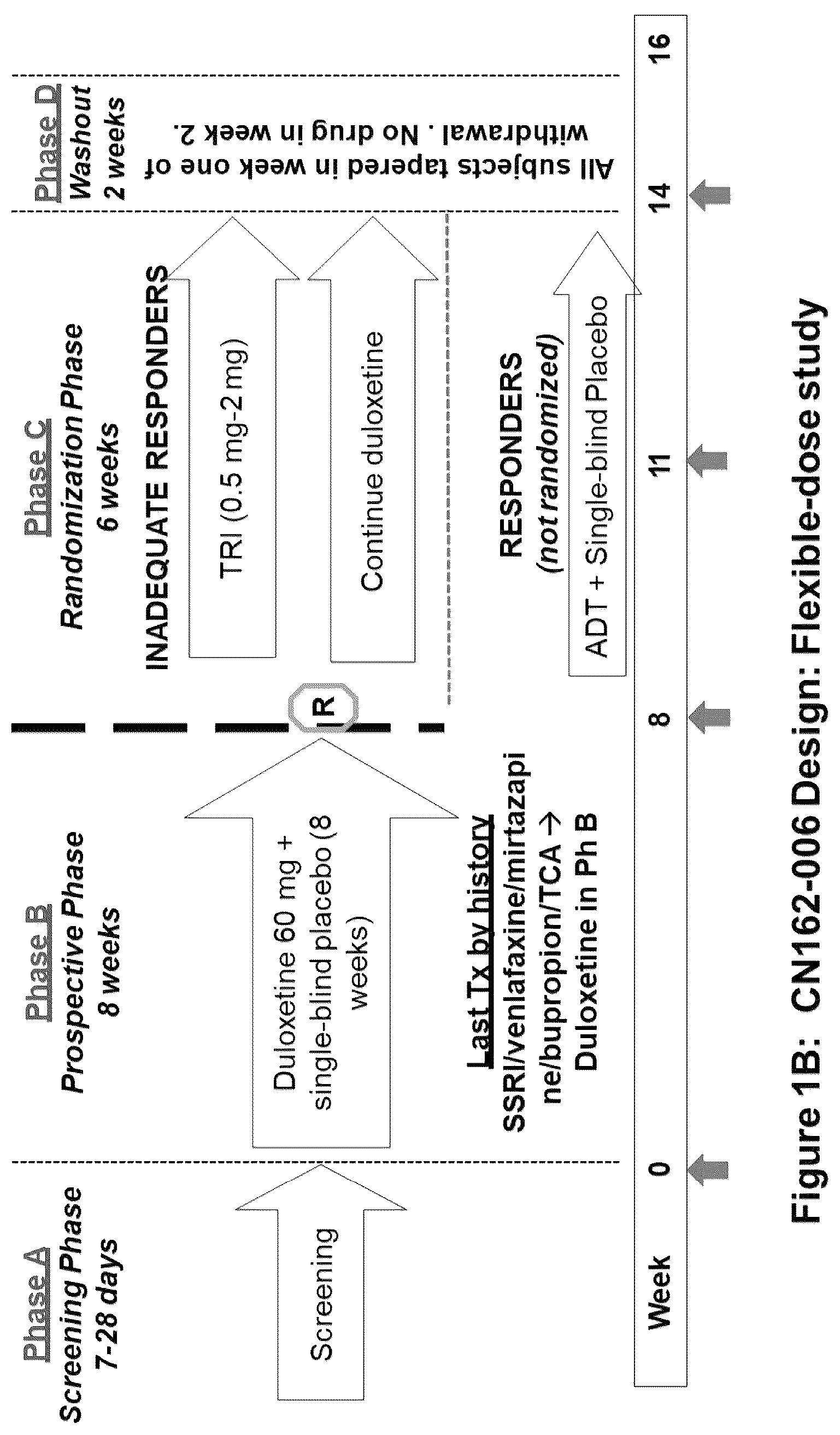 Patent US12612661 Figure 2 – Compositions and methods for assessing the efficacy of inhibitors of neurotransmitter transporters