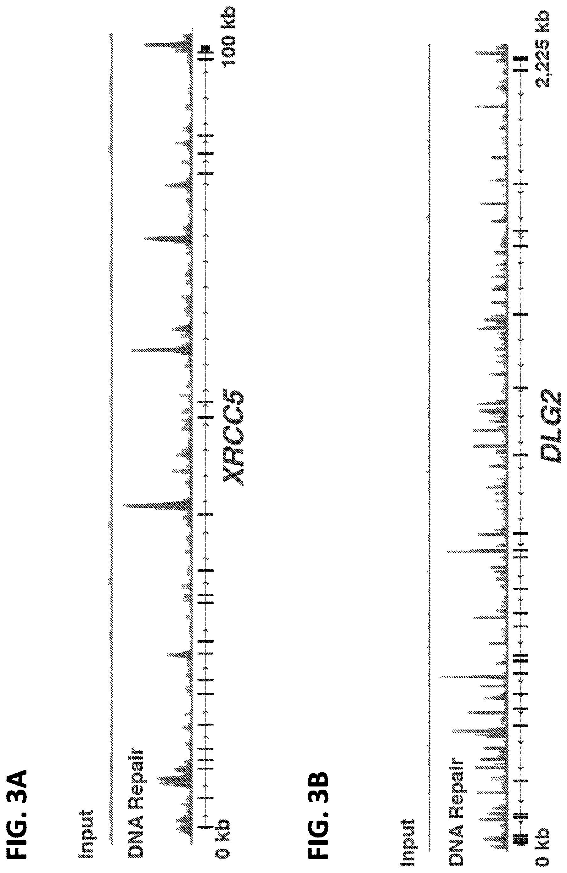 Patent US12612662 Figure 5 – DNA repair site detection for personal genomics, epigenomics, and gene therapy