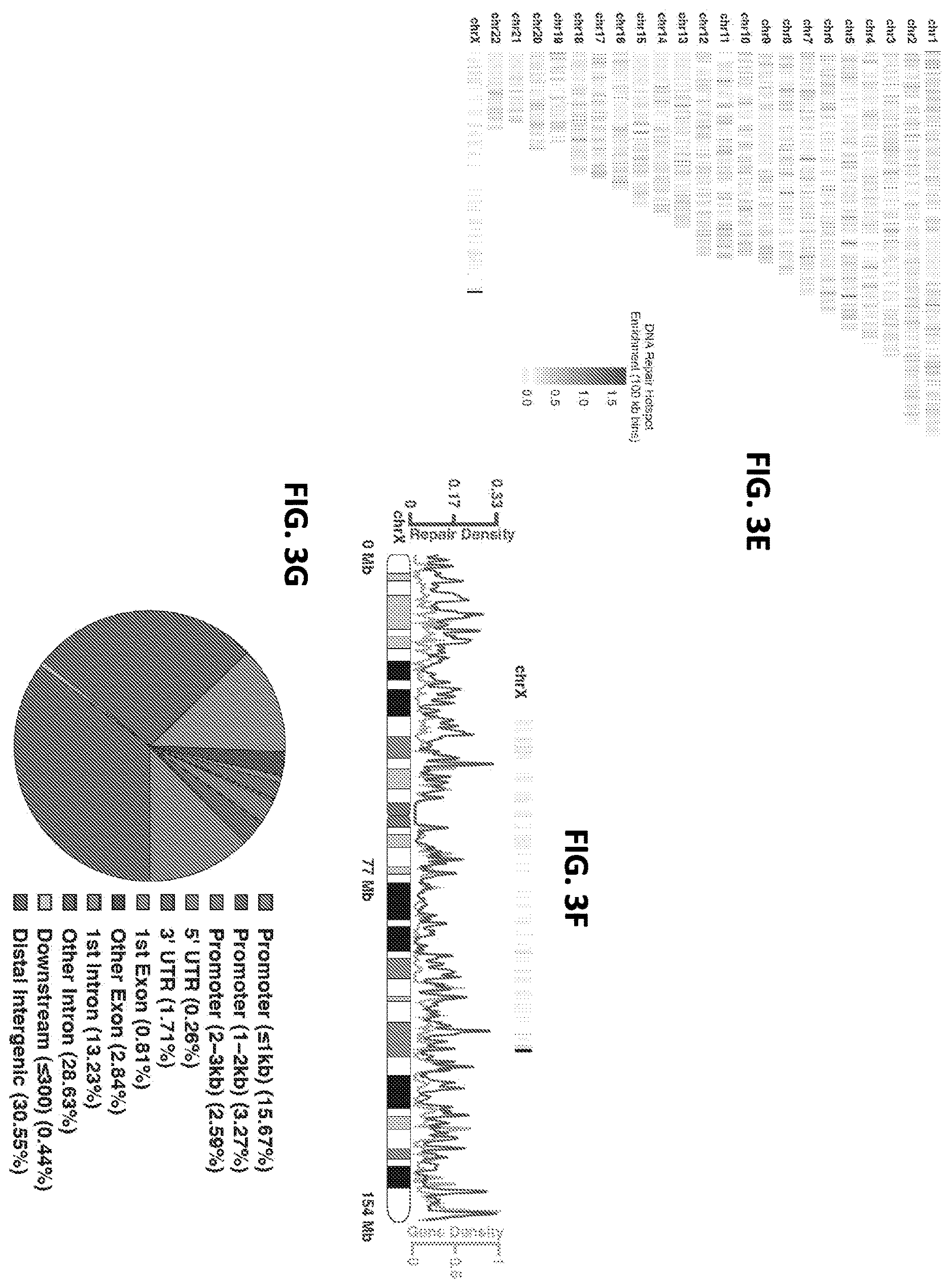 Patent US12612662 Figure 7 – DNA repair site detection for personal genomics, epigenomics, and gene therapy