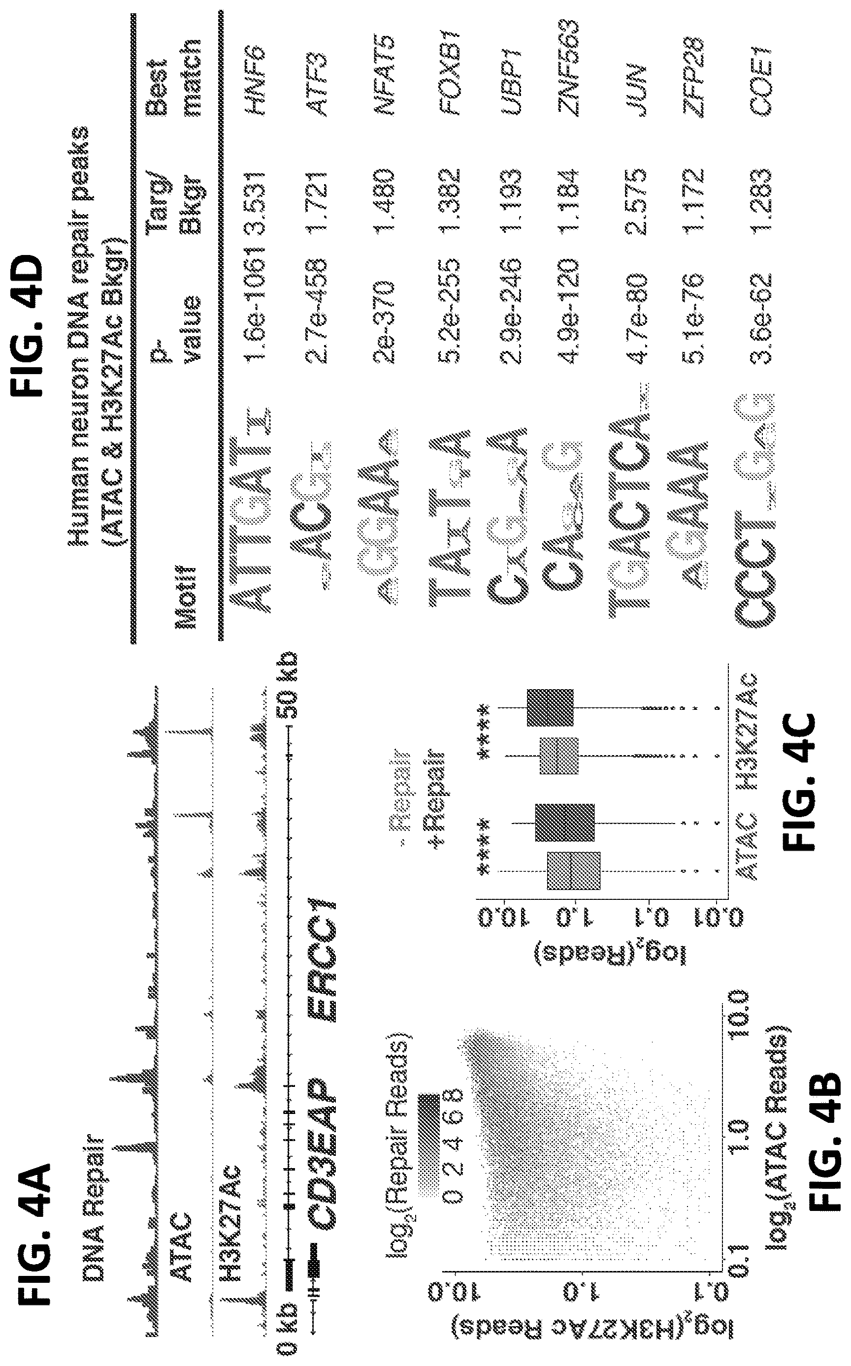 Patent US12612662 Figure 9 – DNA repair site detection for personal genomics, epigenomics, and gene therapy