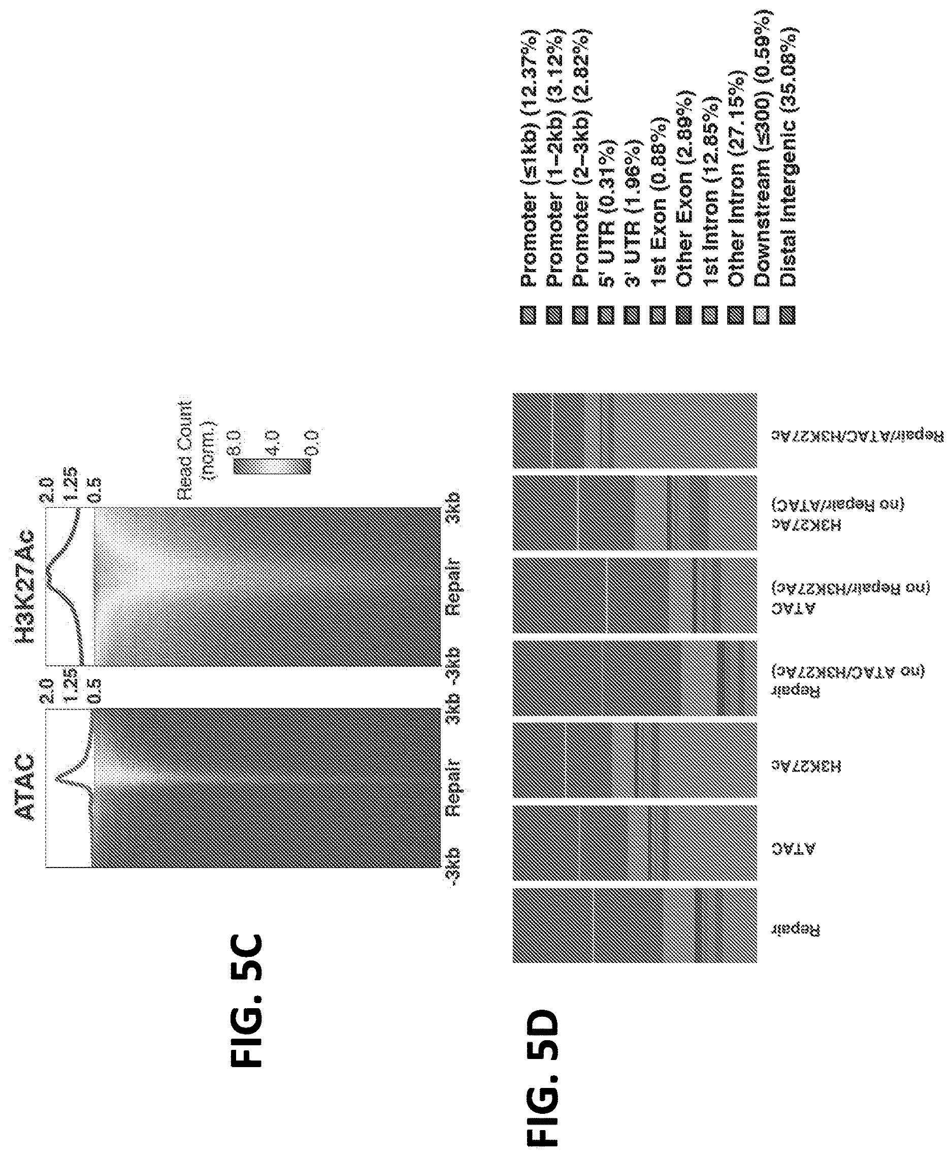 Patent US12612662 Figure 11 – DNA repair site detection for personal genomics, epigenomics, and gene therapy