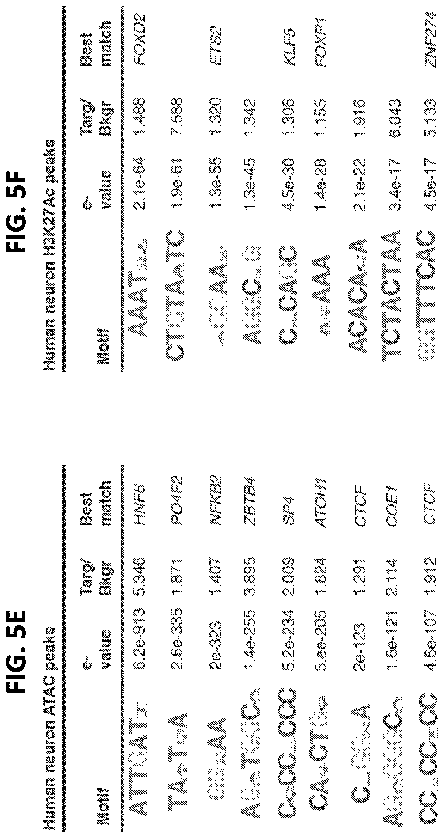 Patent US12612662 Figure 12 – DNA repair site detection for personal genomics, epigenomics, and gene therapy