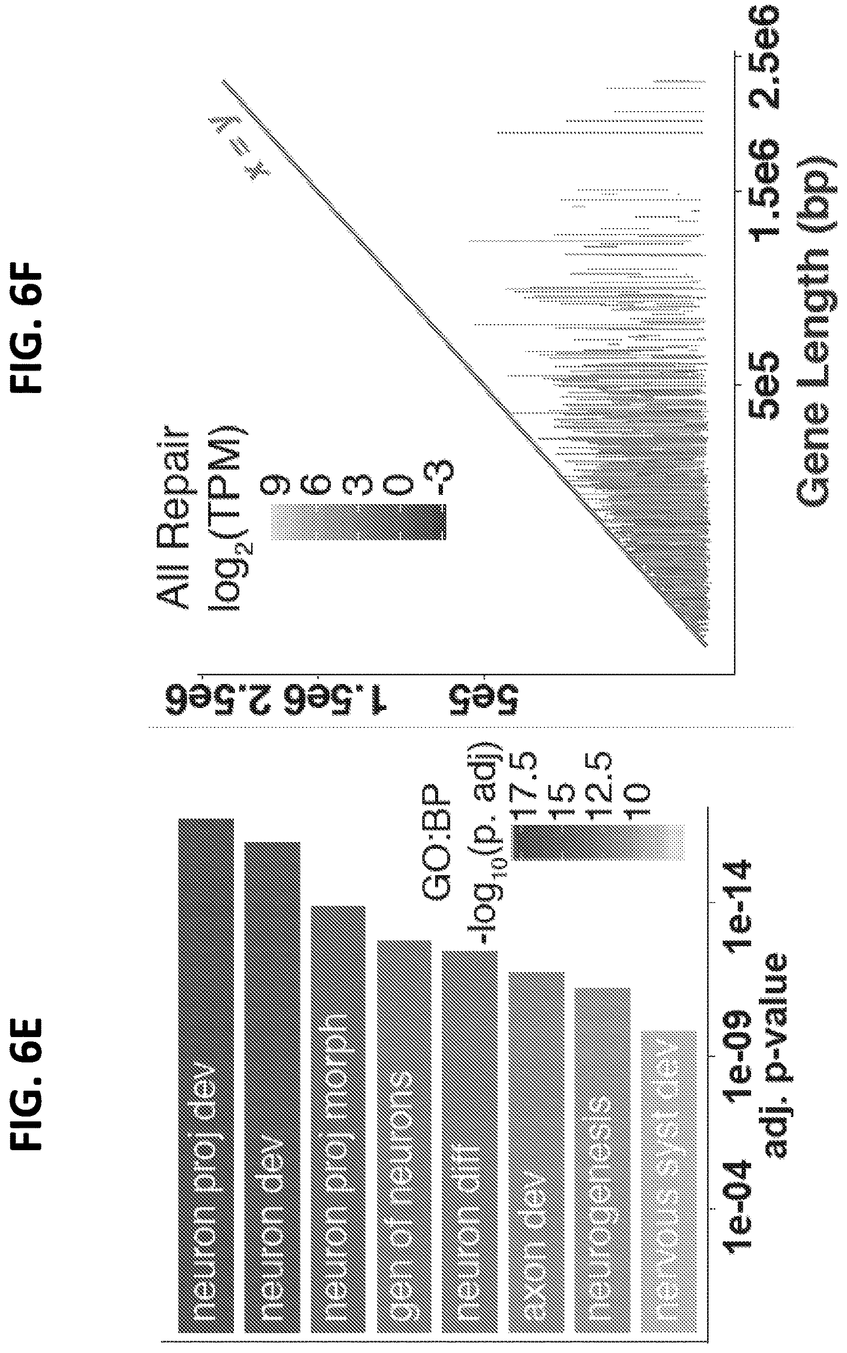 Patent US12612662 Figure 16 – DNA repair site detection for personal genomics, epigenomics, and gene therapy