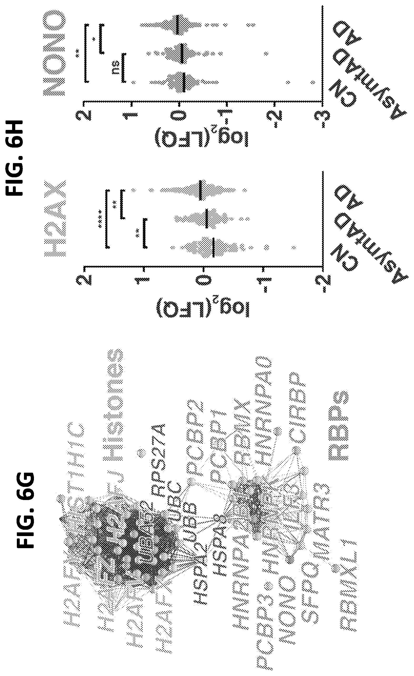 Patent US12612662 Figure 17 – DNA repair site detection for personal genomics, epigenomics, and gene therapy