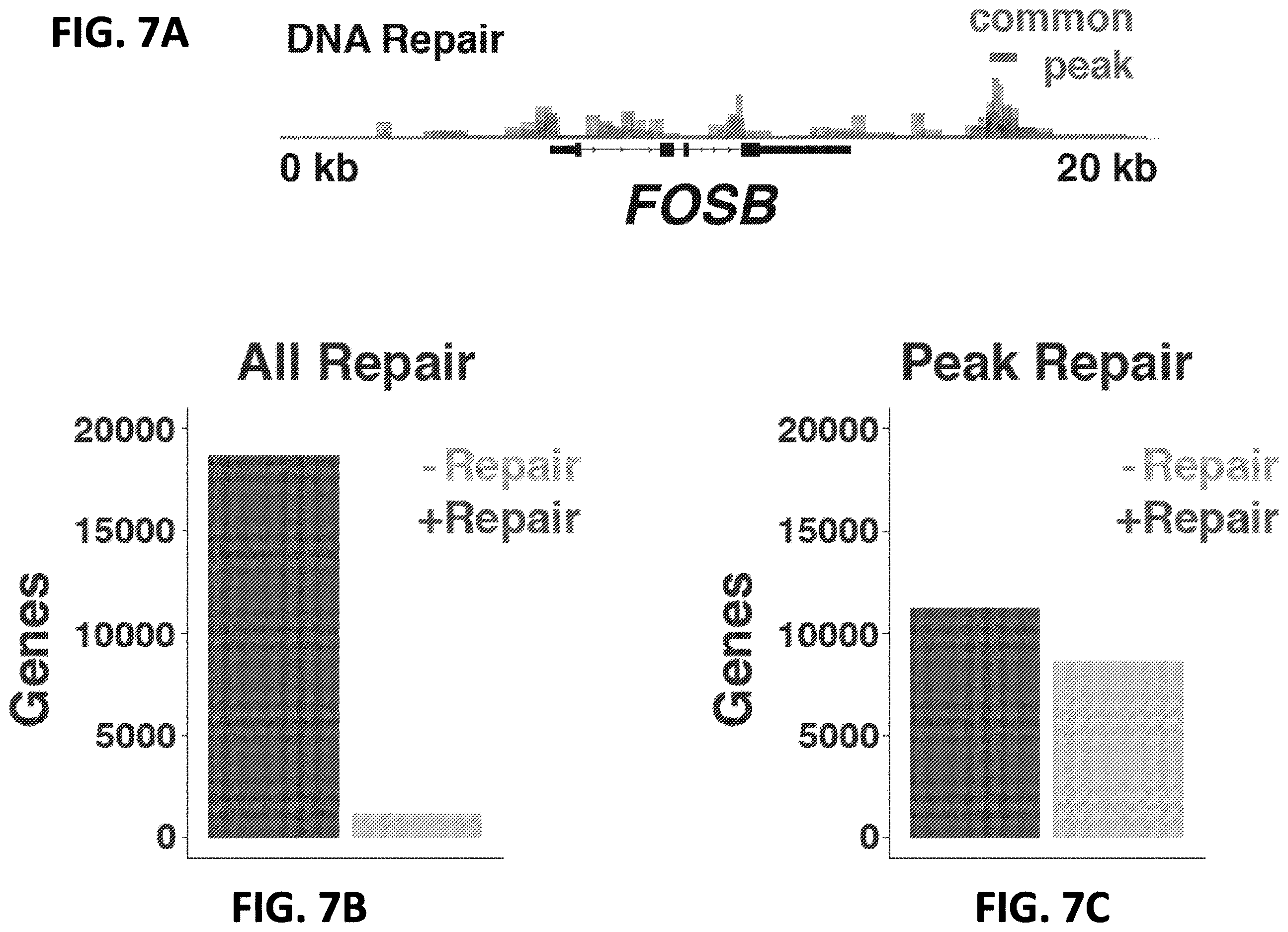 Patent US12612662 Figure 18 – DNA repair site detection for personal genomics, epigenomics, and gene therapy