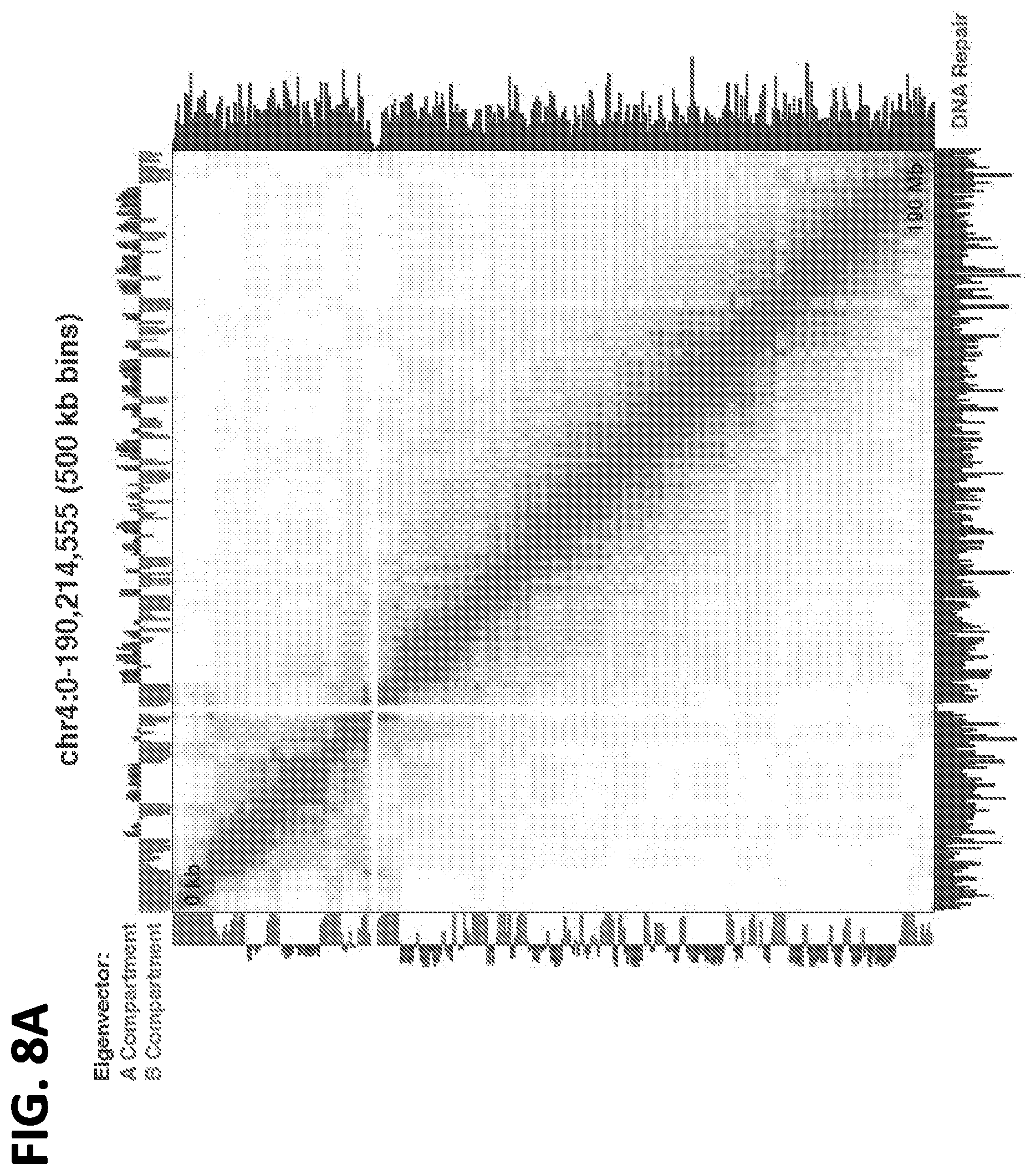 Patent US12612662 Figure 19 – DNA repair site detection for personal genomics, epigenomics, and gene therapy
