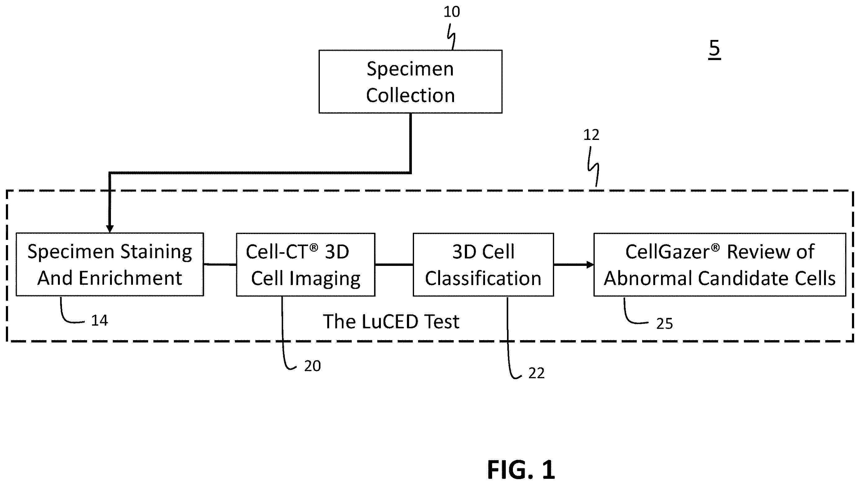 Patent US12612663 Figure 1 – Morphometric detection of DNA mismatch repair deficiency