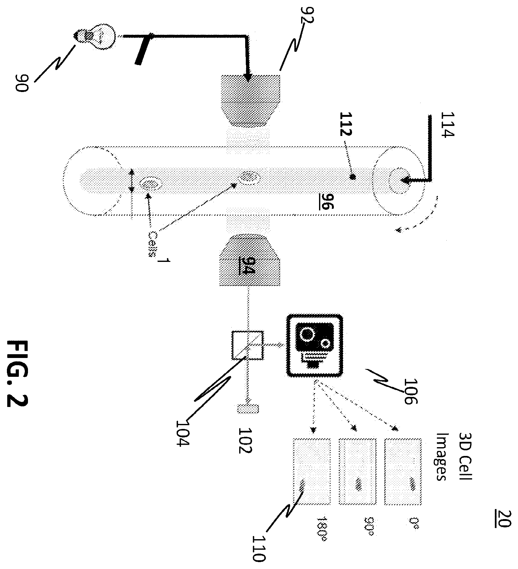 Patent US12612663 Figure 2 – Morphometric detection of DNA mismatch repair deficiency