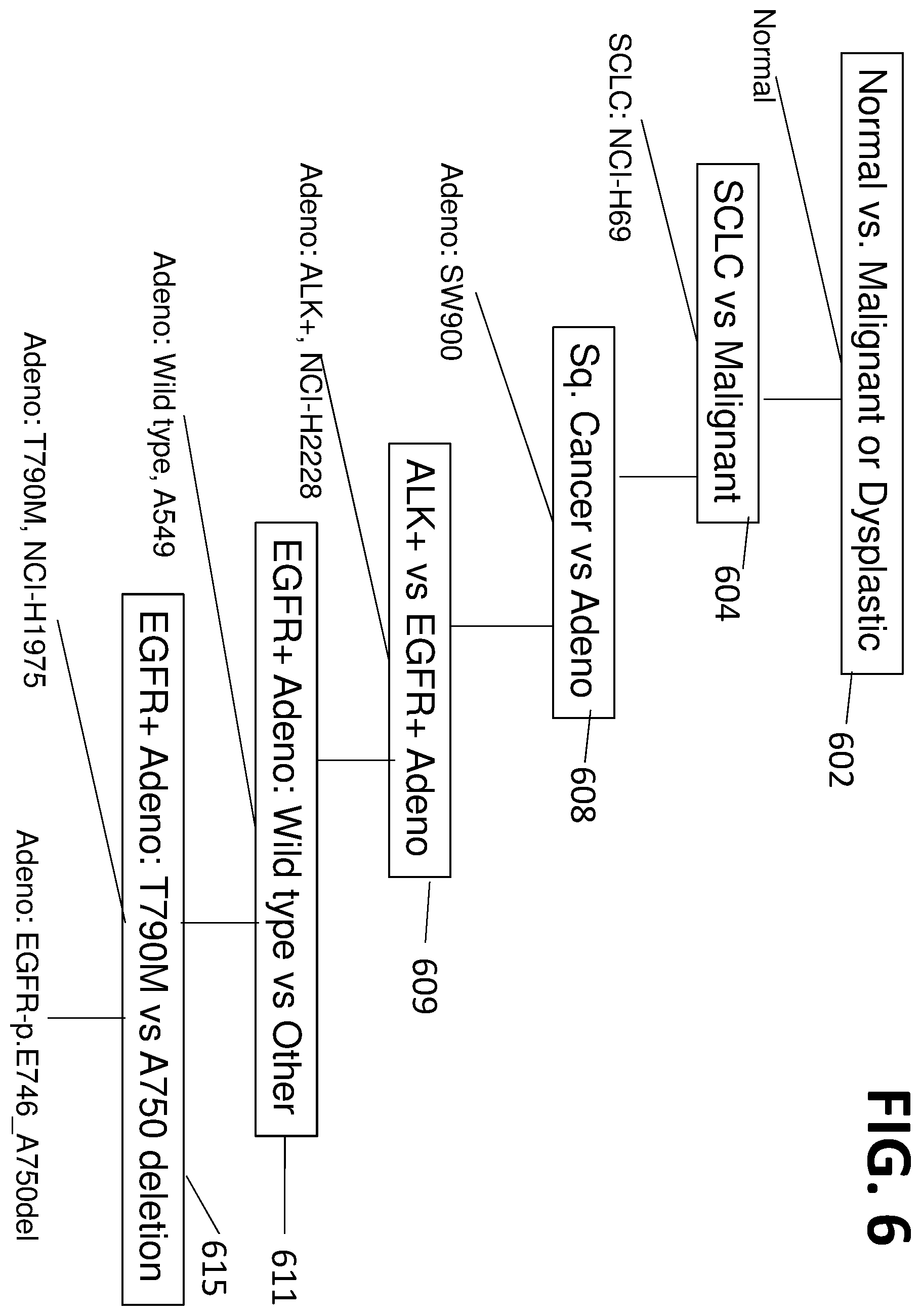 Patent US12612663 Figure 6 – Morphometric detection of DNA mismatch repair deficiency