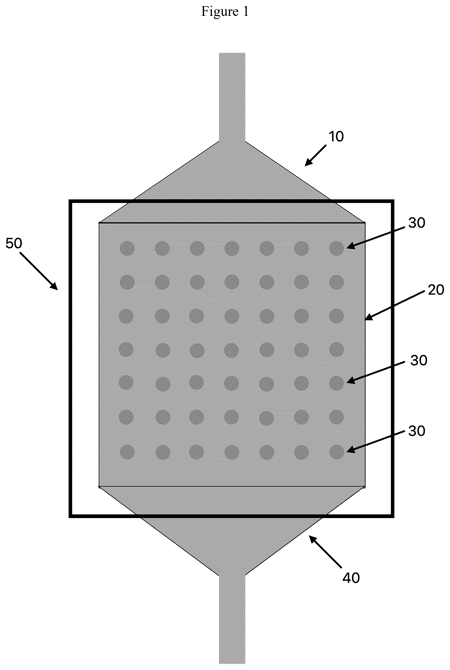 Patent US12612667 Figure 1 – Solid phase recombinase polymerase amplification for human pathogen identification