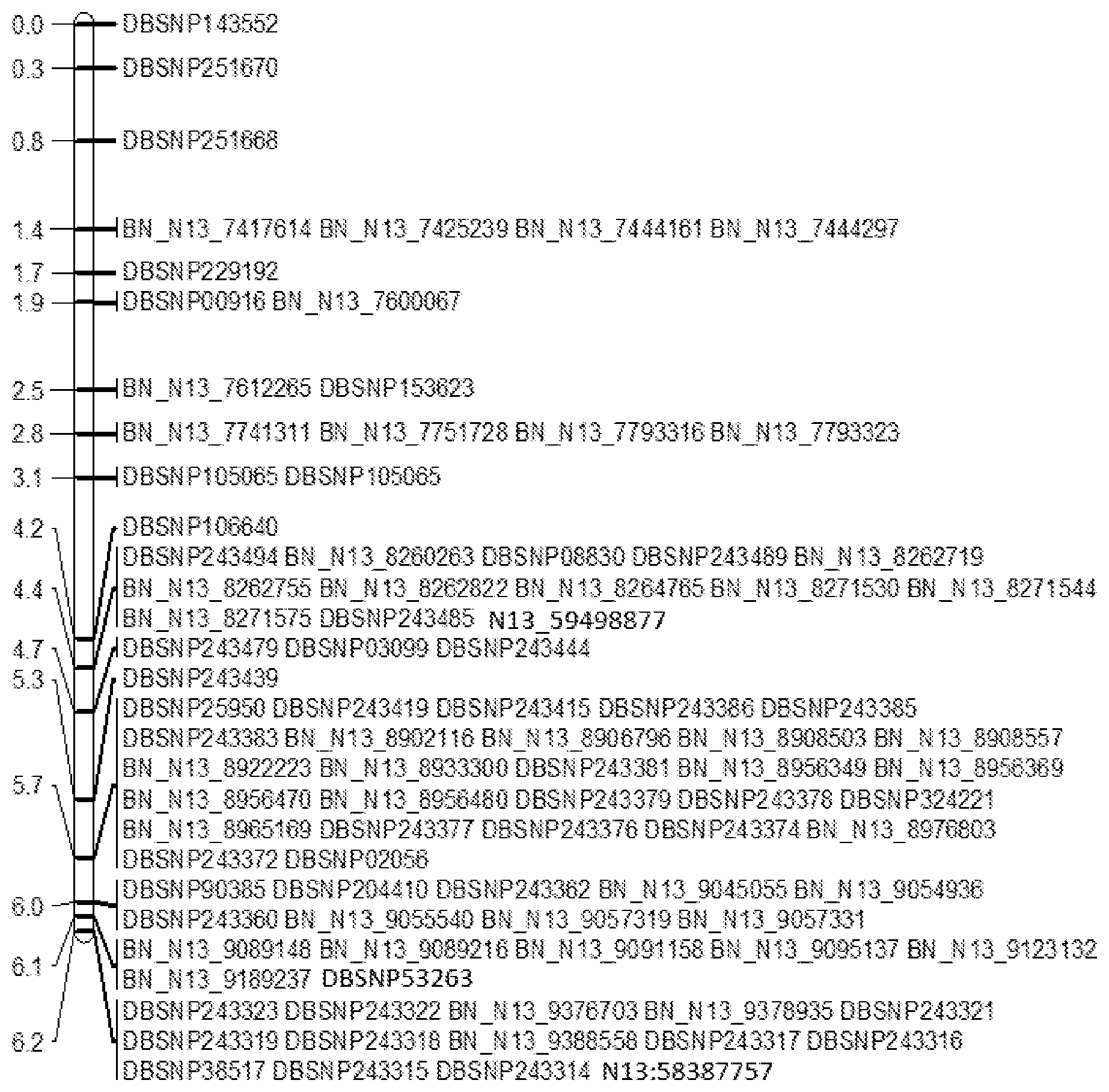 Patent US12612668 Figure 1 – SNP markers and selection of low fiber in brassica