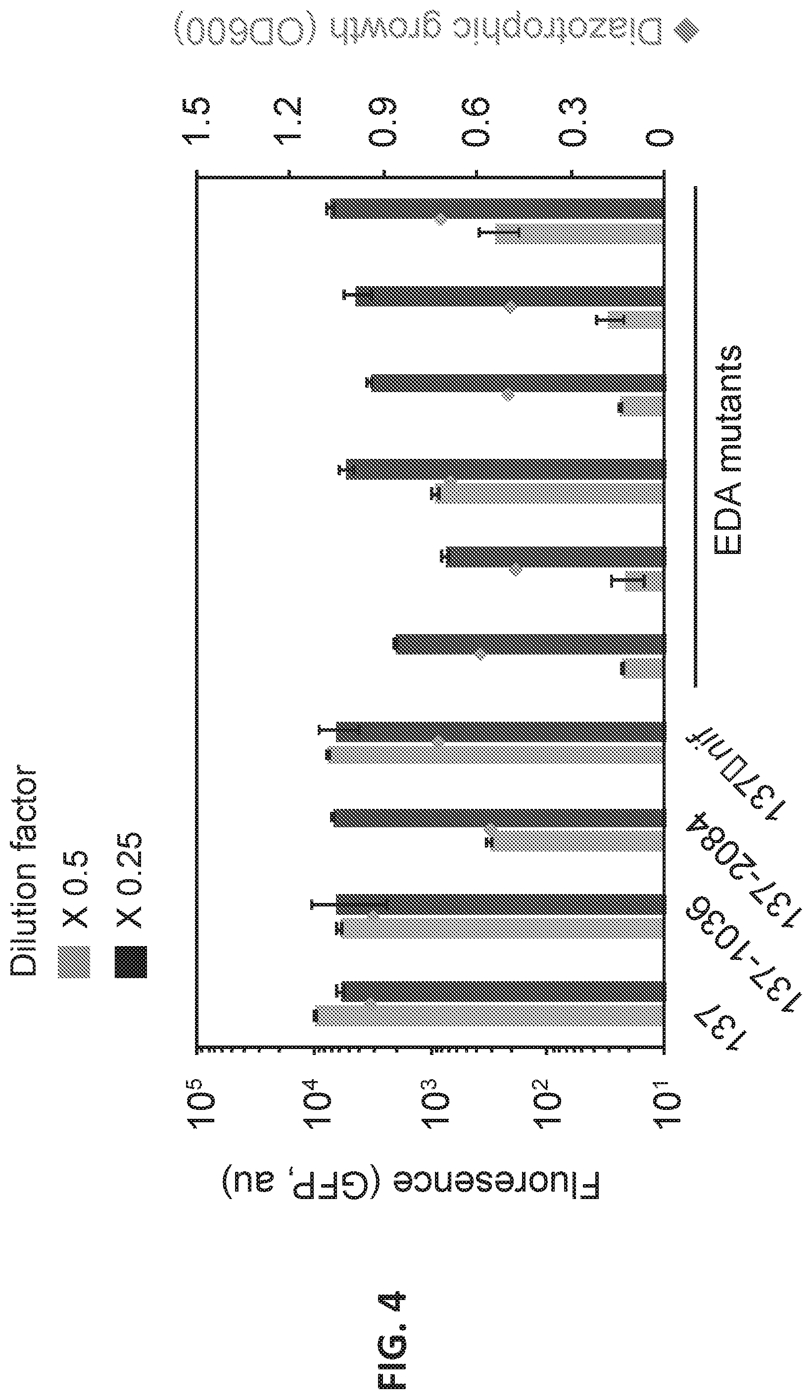 Patent US12612669 Figure 5 – High-throughput methods for isolating and characterizing ammonium-excreting mutant libraries generated by chemical mutagenesis