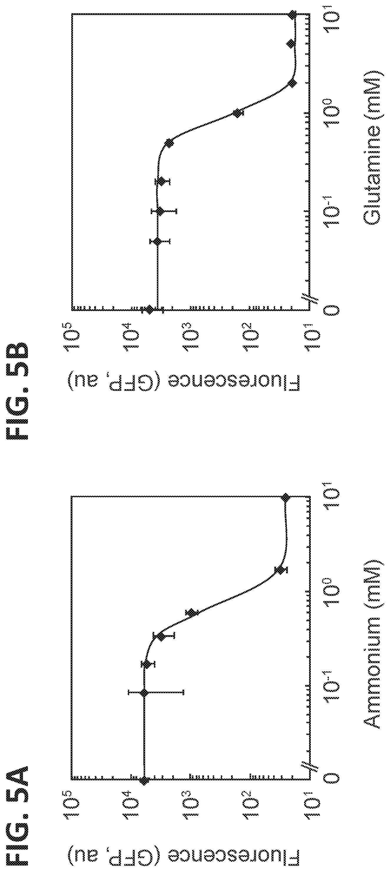 Patent US12612669 Figure 6 – High-throughput methods for isolating and characterizing ammonium-excreting mutant libraries generated by chemical mutagenesis