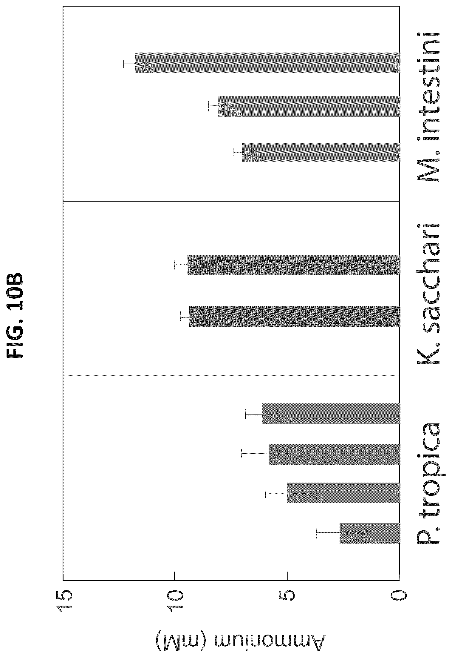 Patent US12612669 Figure 12 – High-throughput methods for isolating and characterizing ammonium-excreting mutant libraries generated by chemical mutagenesis