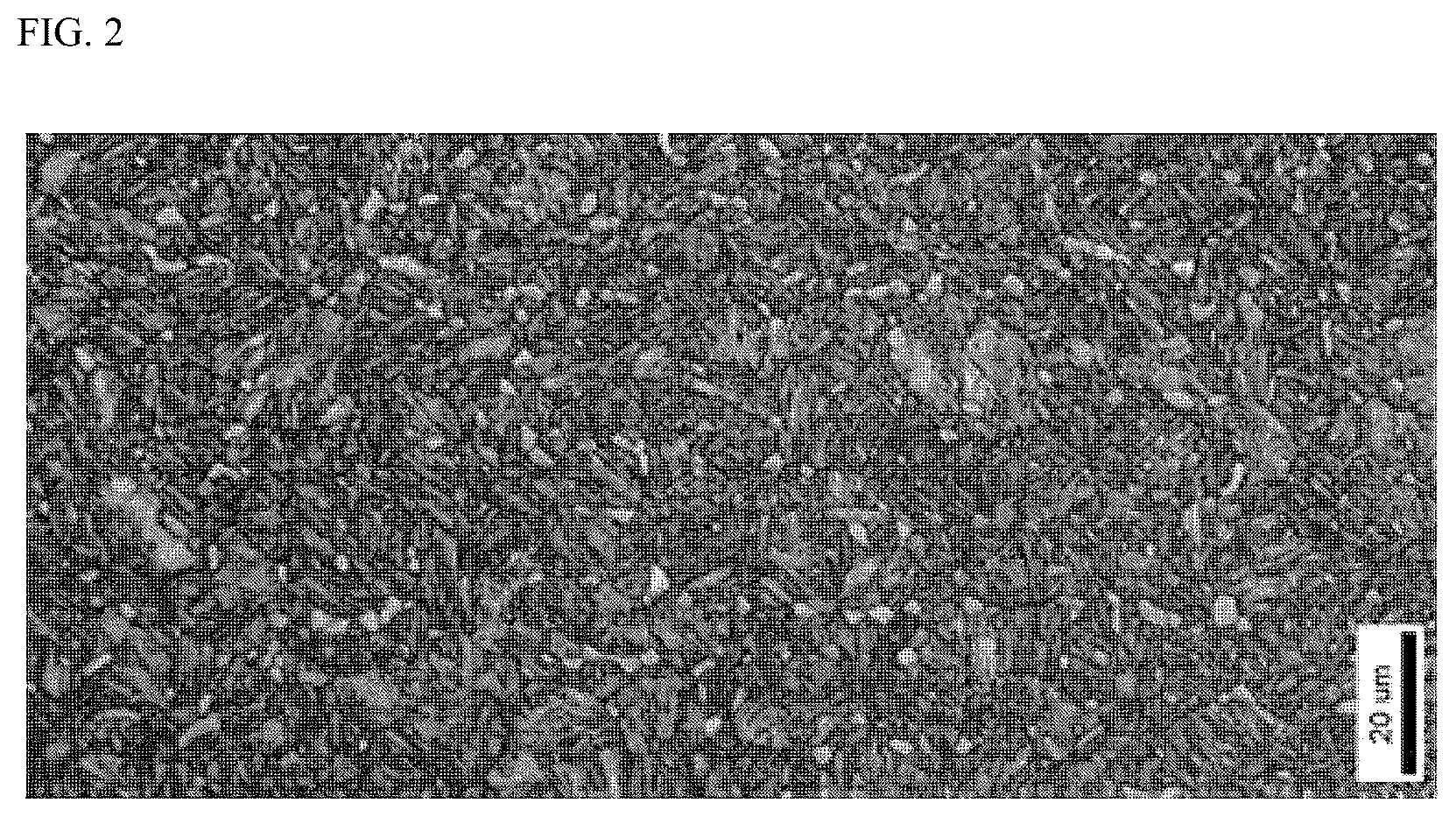Patent US12612684 Figure 2 – Martensitic stainless steel with excellent hardenability