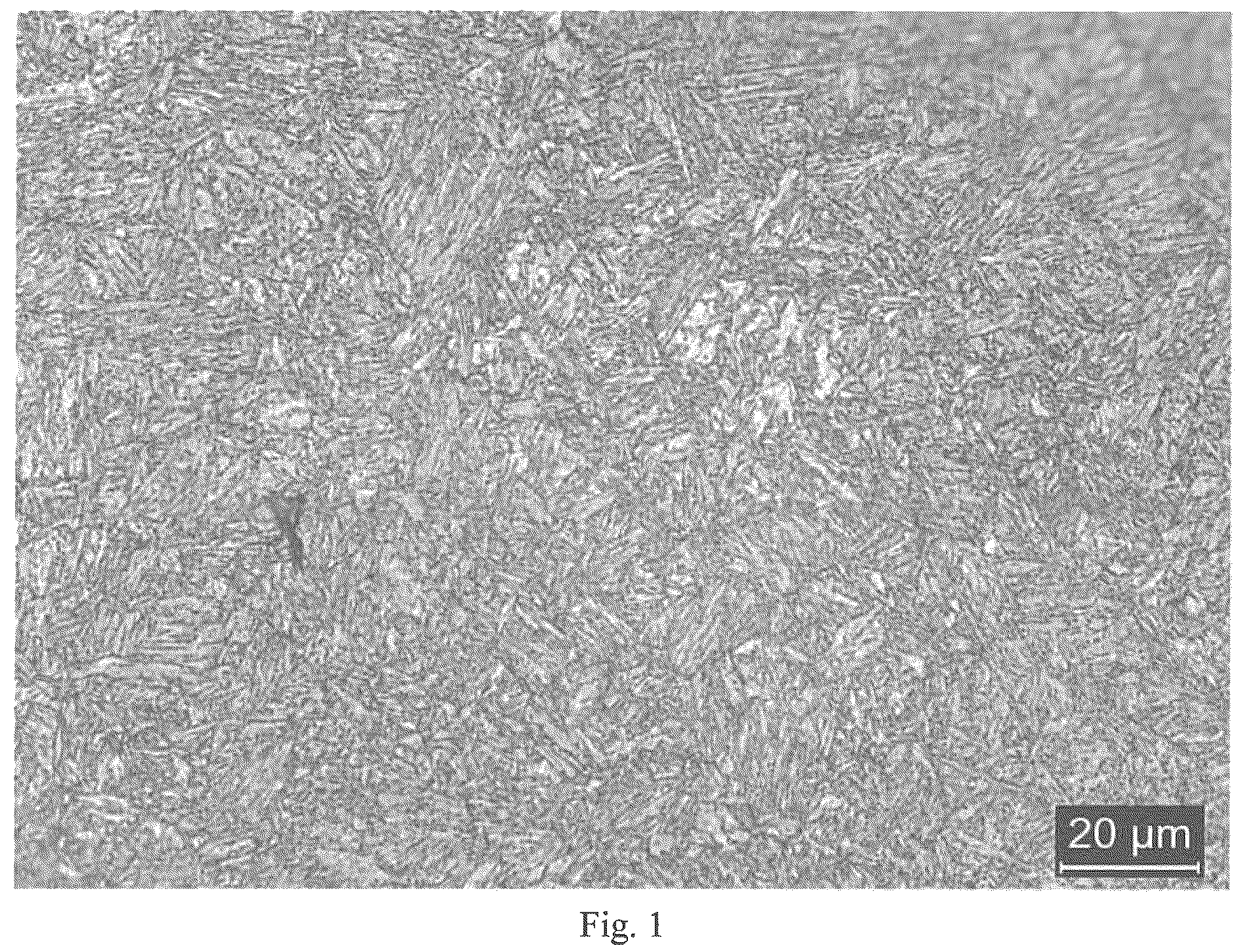 Patent US12612686 Figure 1 – Steel, steel bar and manufacturing method thereof