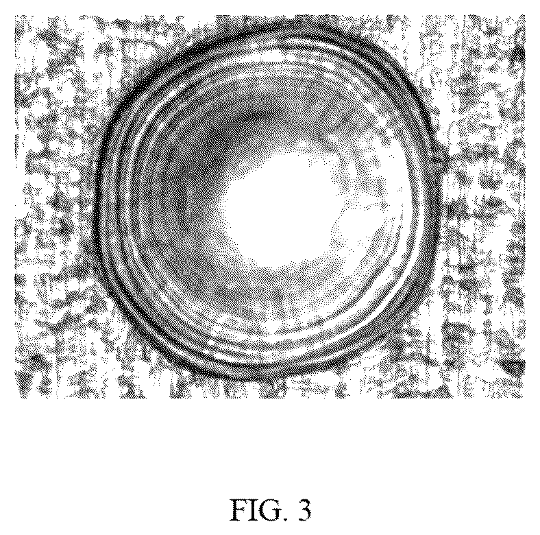 Patent US12612688 Figure 3 – Mask, mask assembly, and method for manufacturing mask assembly