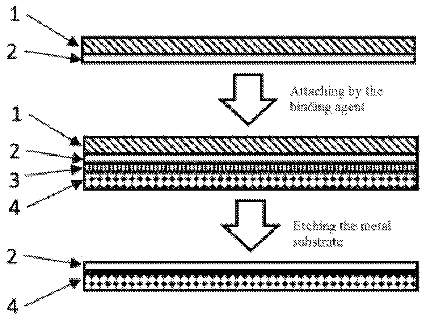 Patent US12612699 Figure 1 – Binding agent for graphene film transfer and transfer method of graphene film