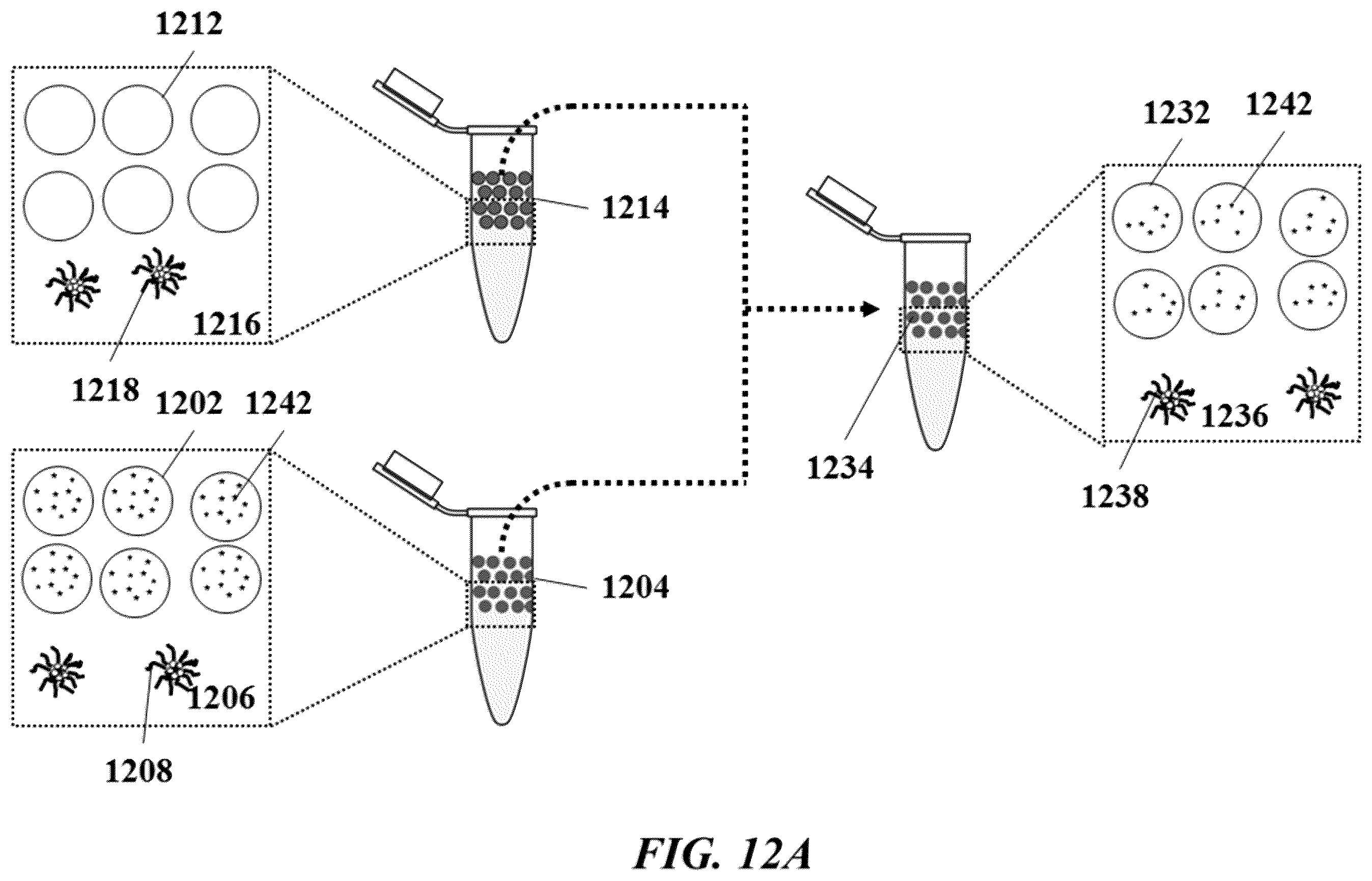 Patent US12612714 Figure 12 – Systems and methods for transfer of reagents between droplets