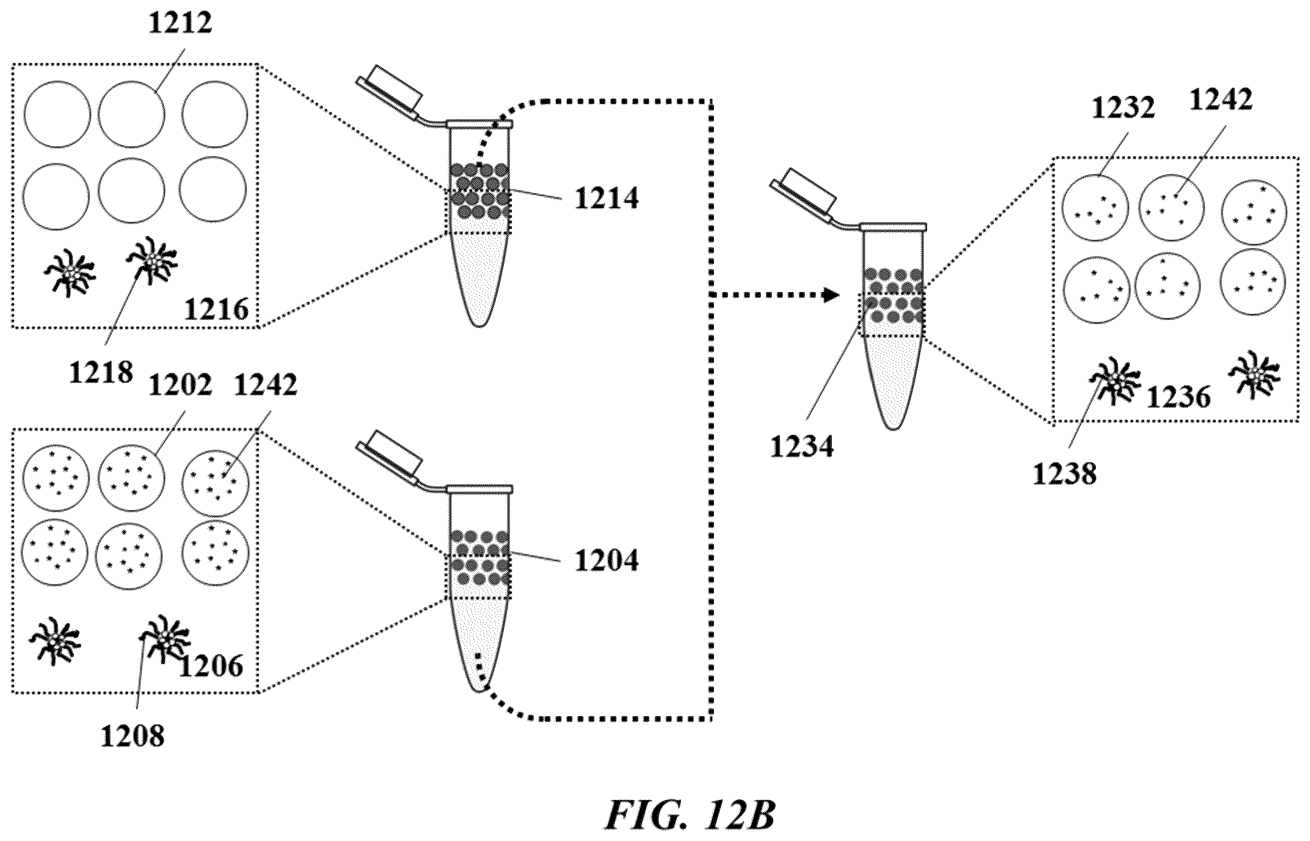 Patent US12612714 Figure 13 – Systems and methods for transfer of reagents between droplets